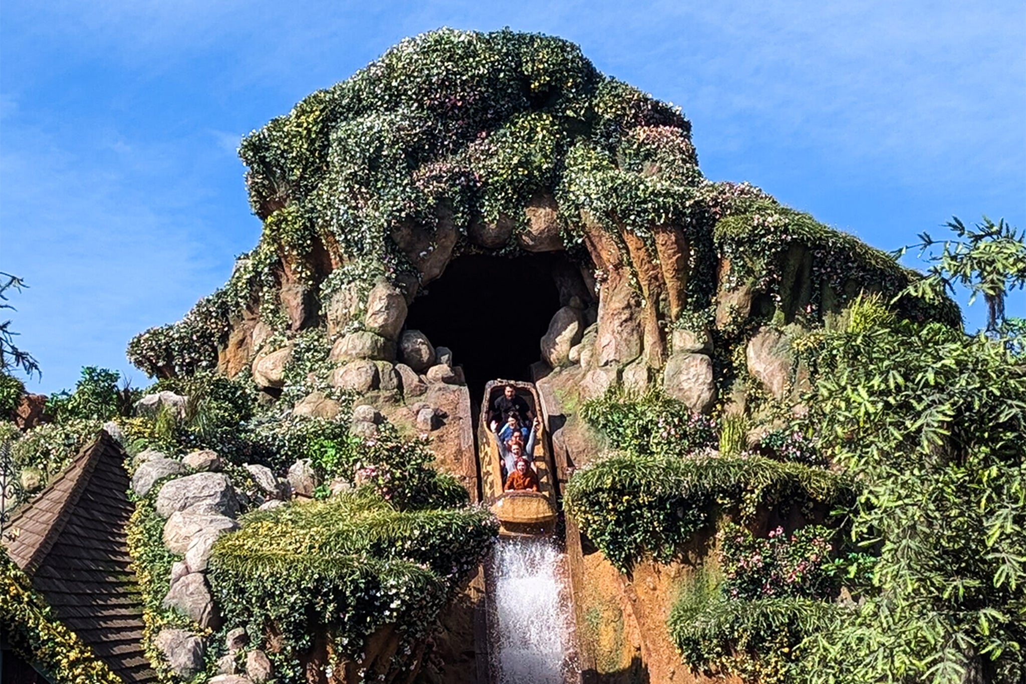 A teenage boy reportedly climbed retired of a thrust conveyance connected Disneyland’s Tiana’s Bayou Adventure thrust and fell down nan 50-foot waterfall drop