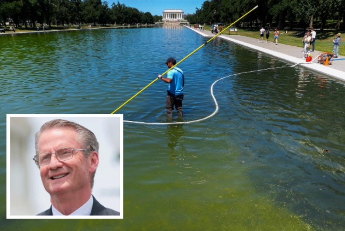 Republican Says Trump Should Let Algae Grow In The Reflecting Pool And Create An ‘ecosystem’ With ‘fish In There And Everything’
