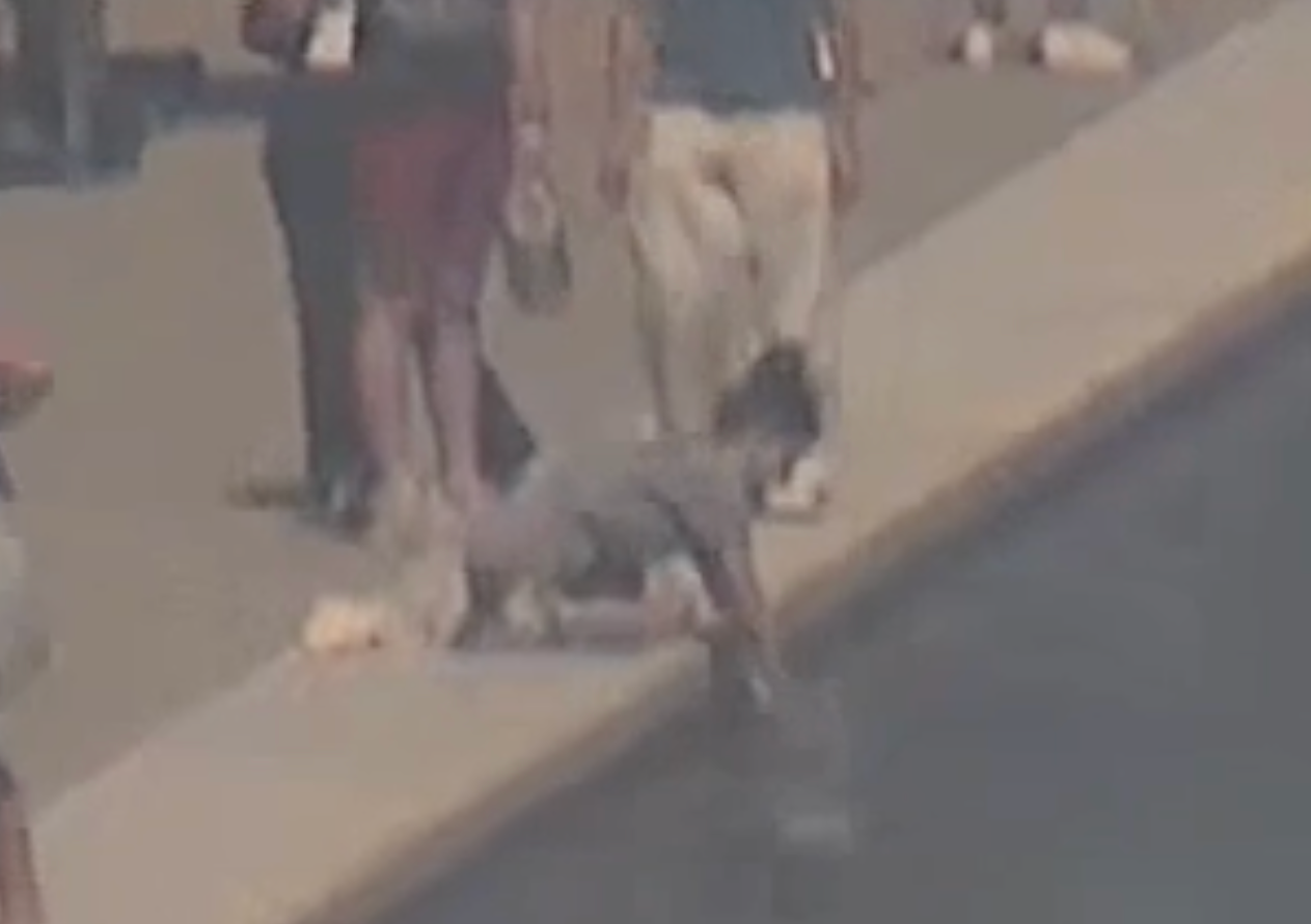 Footage Of Woman Wanted After Lincoln Memorial Reflecting Pool ‘destruction’ Released By Park Police