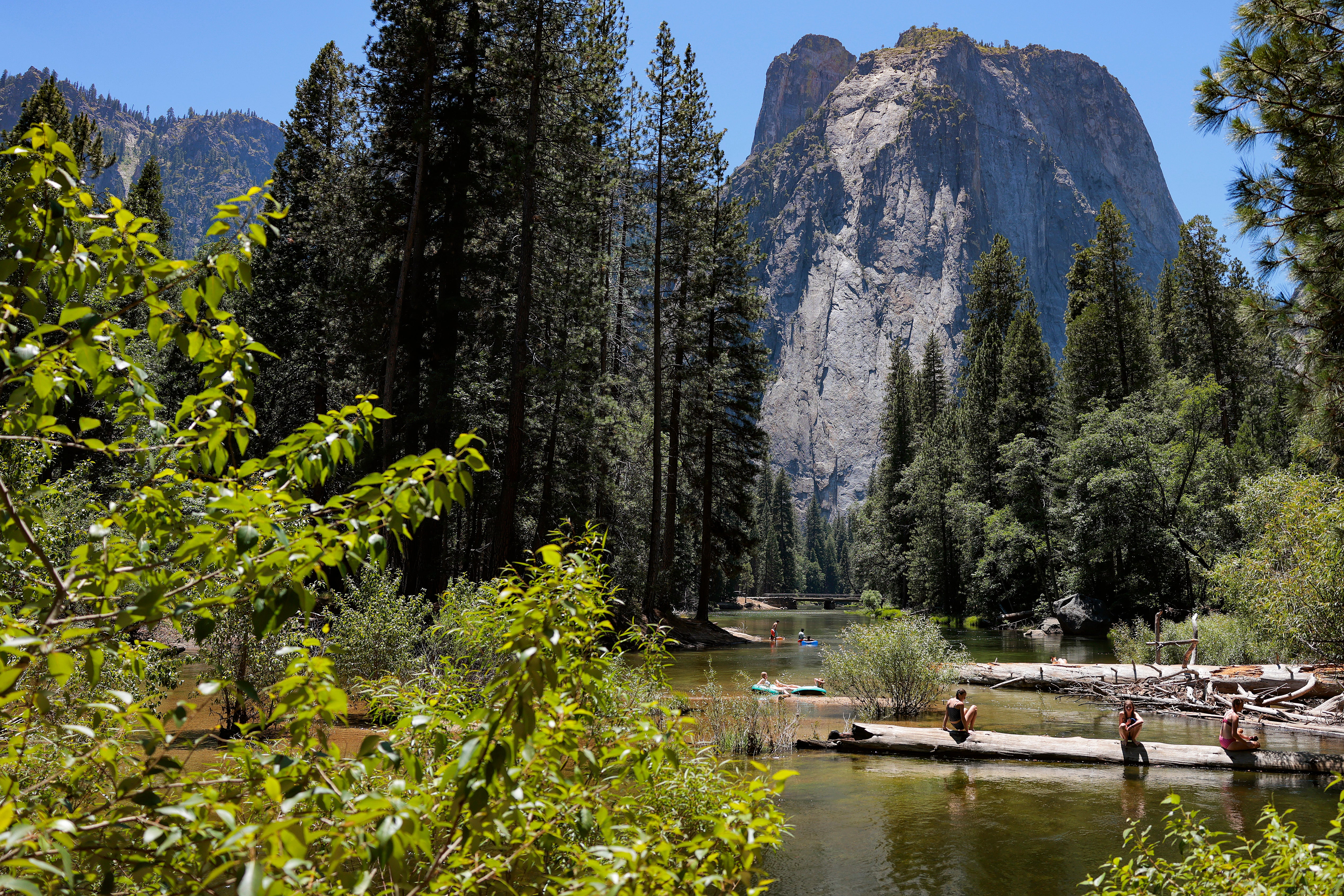 National Park Service Staff Ordered Not To Confirm Deaths Or Injuries: Report