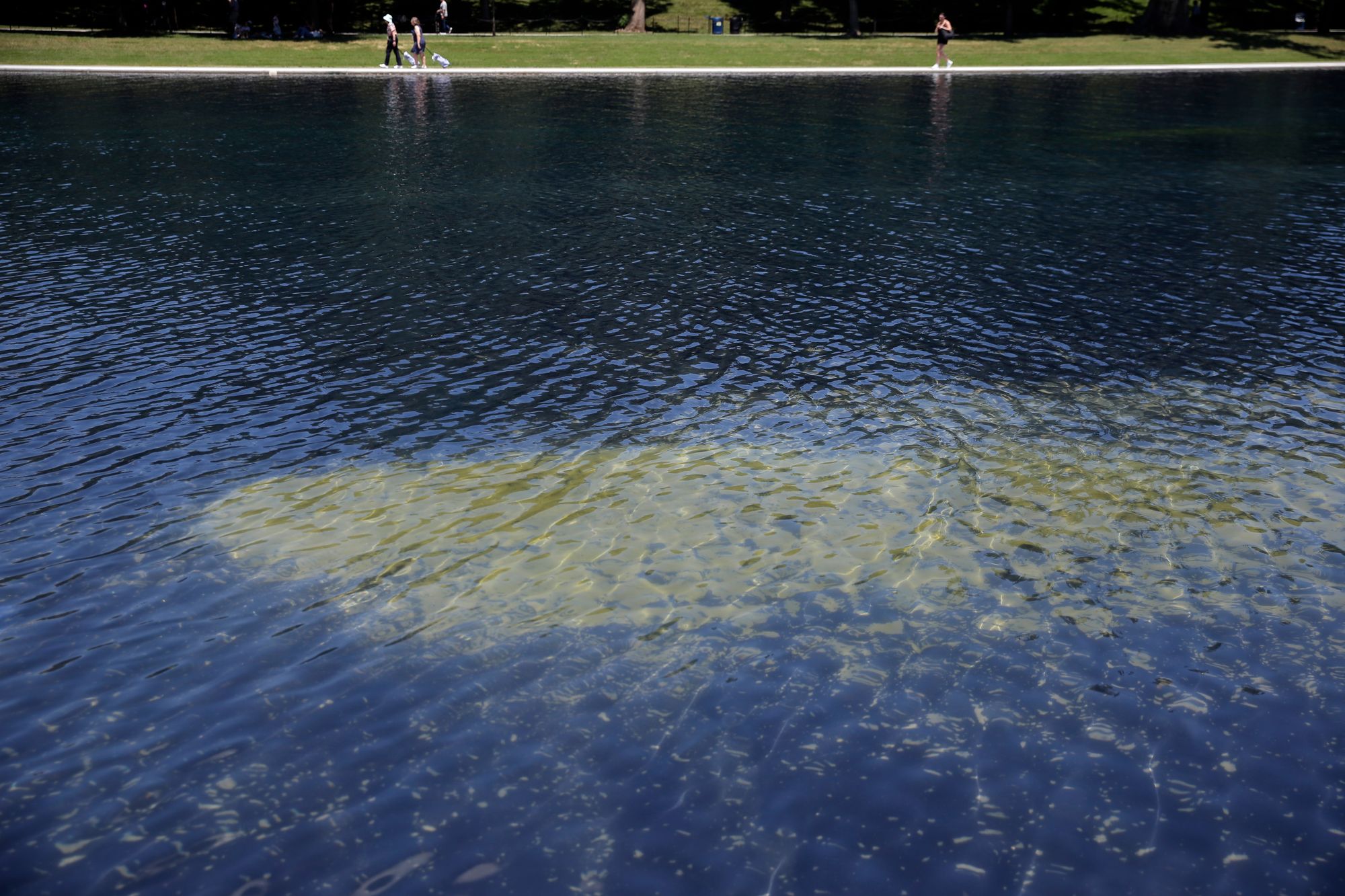 Since nan tract was restored, its h2o has been plagued by an algae bloom and pieces of nan caller coating person appeared to beryllium peeling disconnected nan bottom