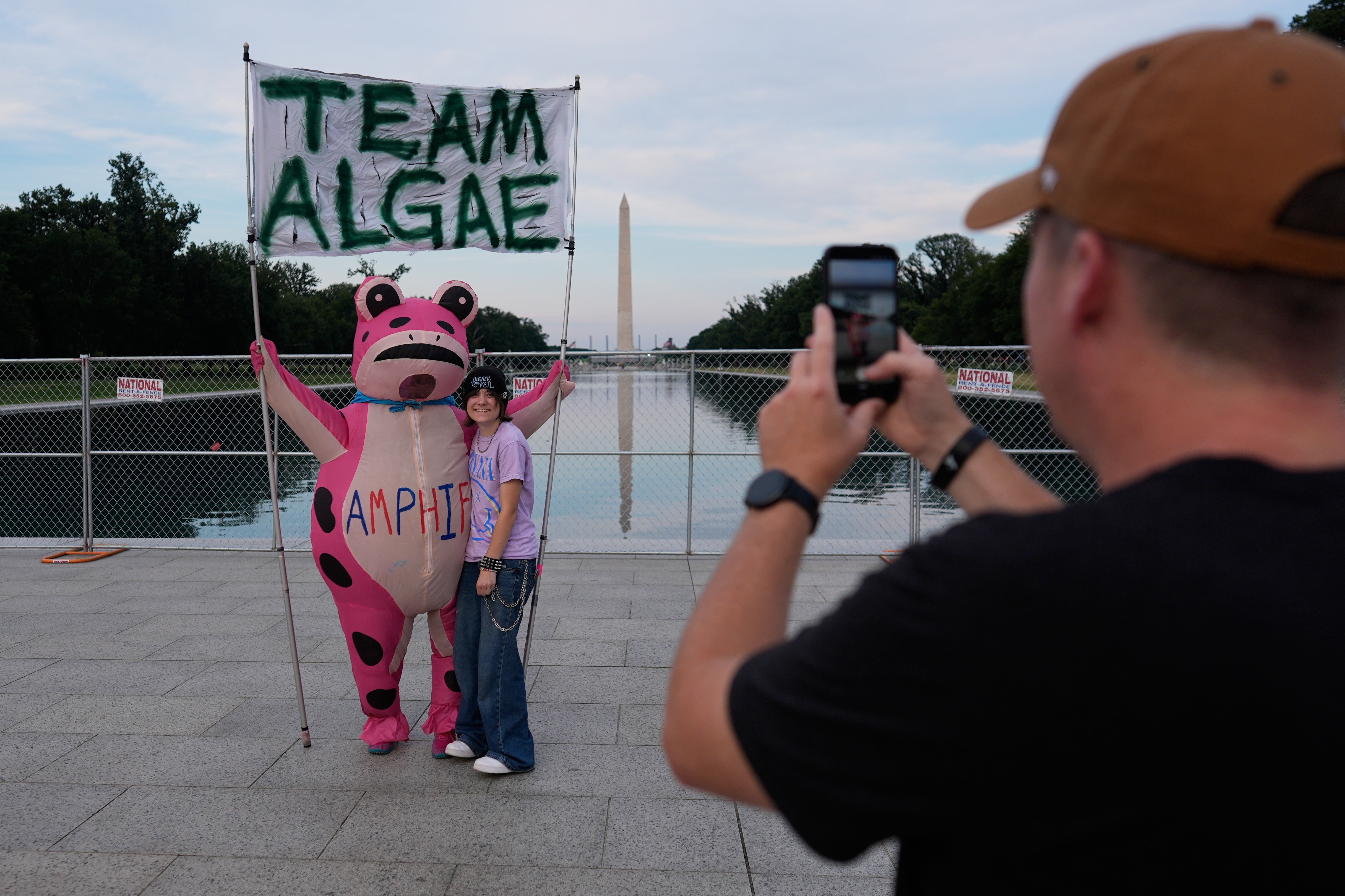 In caller days, President Trump’s algae-filled Reflecting Pool has generated a activity of viral memes, immoderate of which see management officials