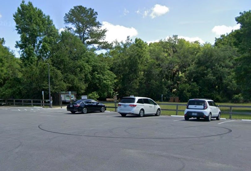 The 31-year-old female from Orlando had been hiking pinch her fellow and her champion friend erstwhile she was attacked successful nan Econlockhatchee River