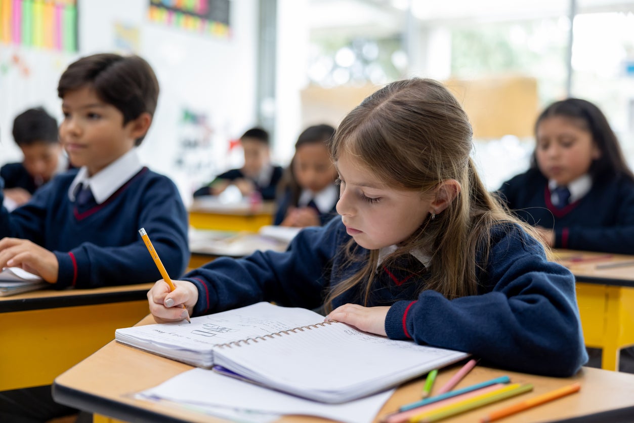 Fury over SATs result delays as government considers scrapping £180m exam contract