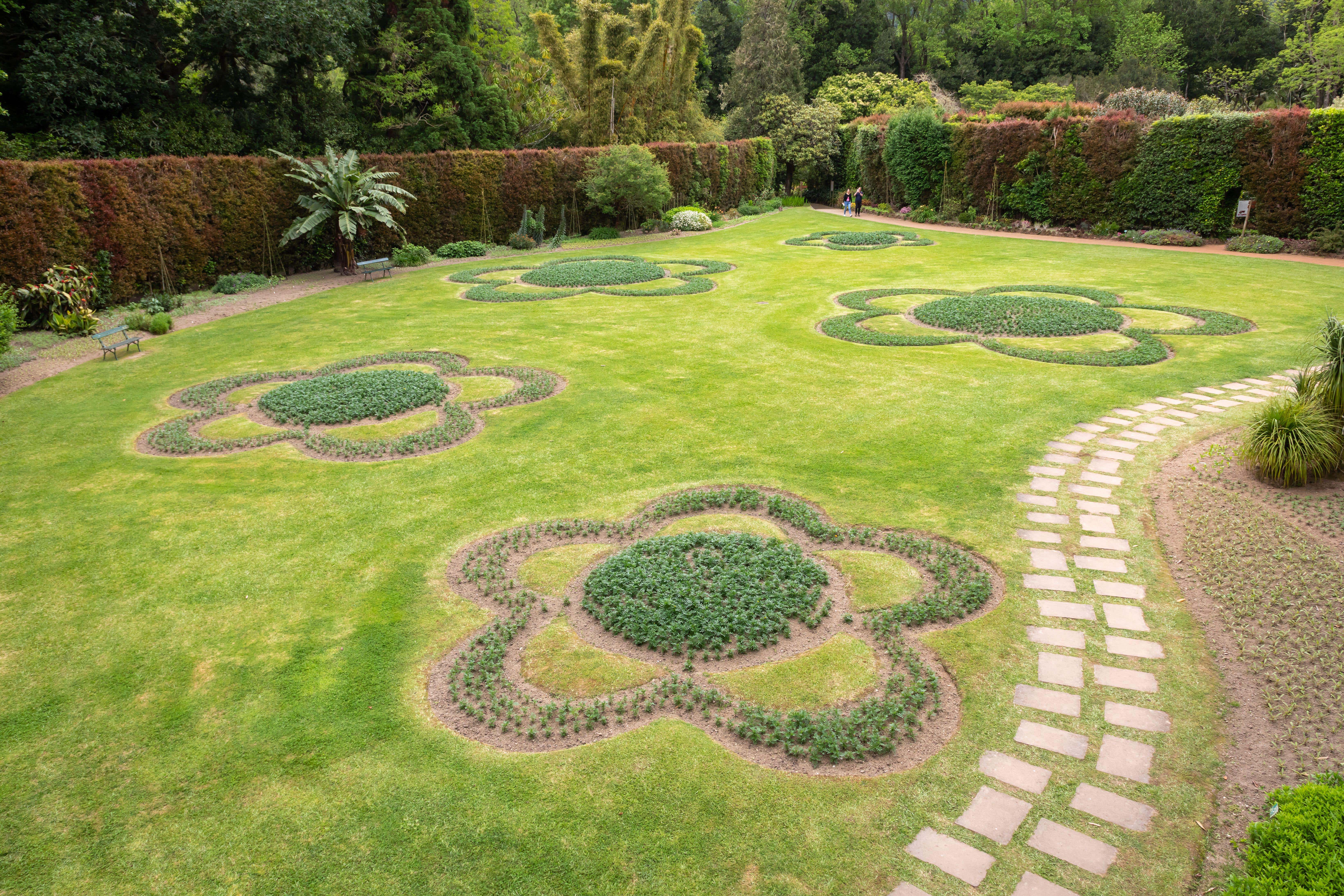 What are tapestry lawns and will they cope with dry spells?