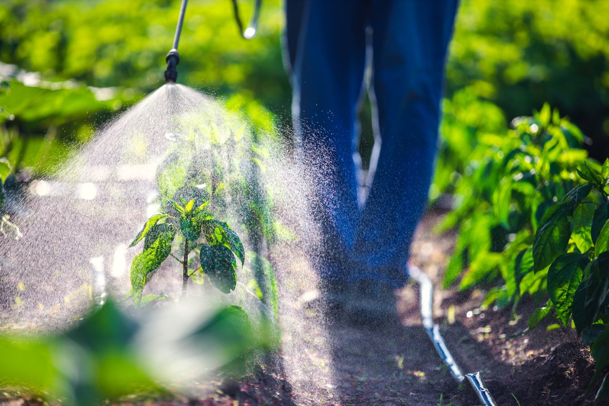 A new study has found that being exposed to pesticide at work can increase the risk of developing ALS by 61–71%