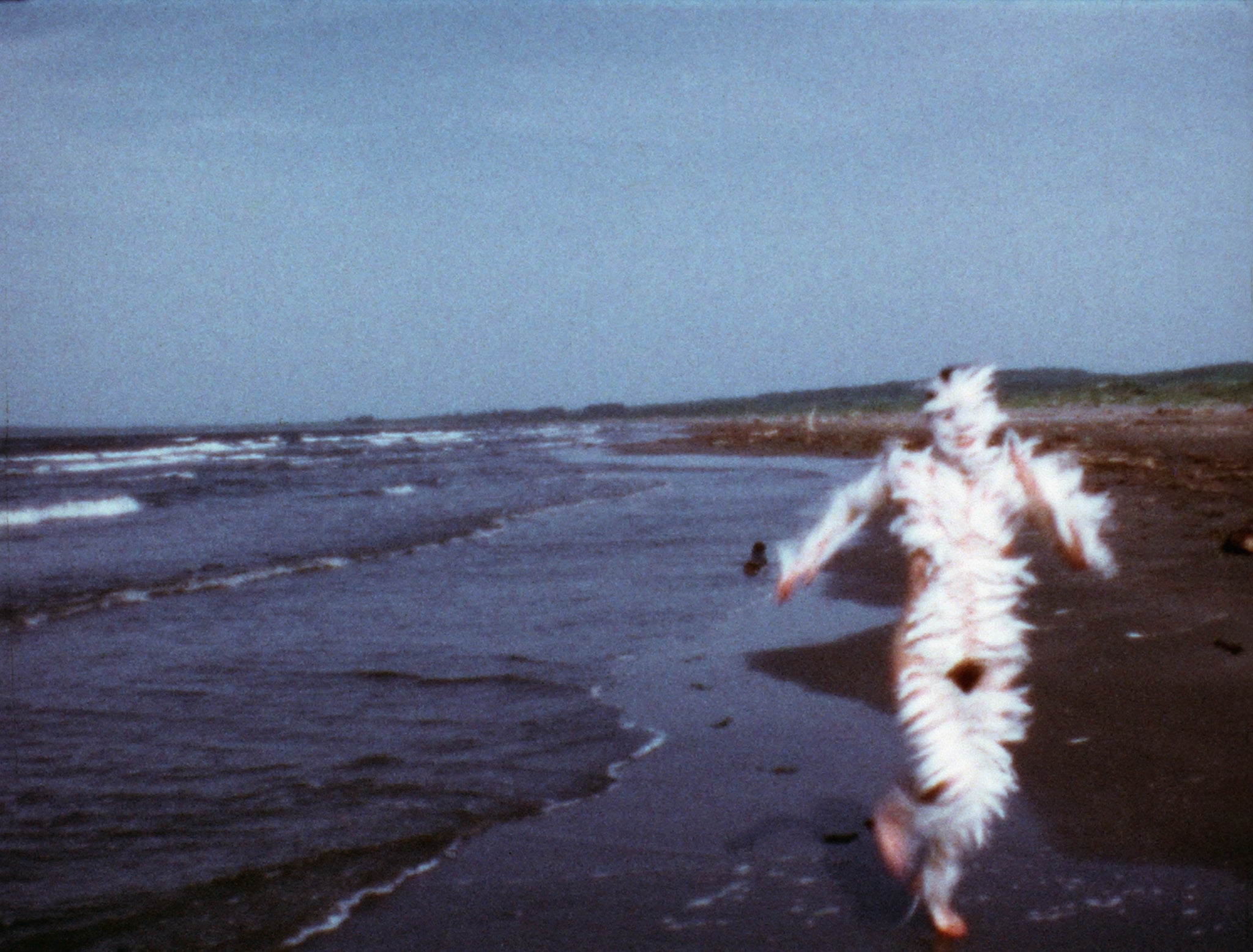 The tragic death of Ana Mendieta divided the New York art scene, but the Tate reclaims her life's work this summer