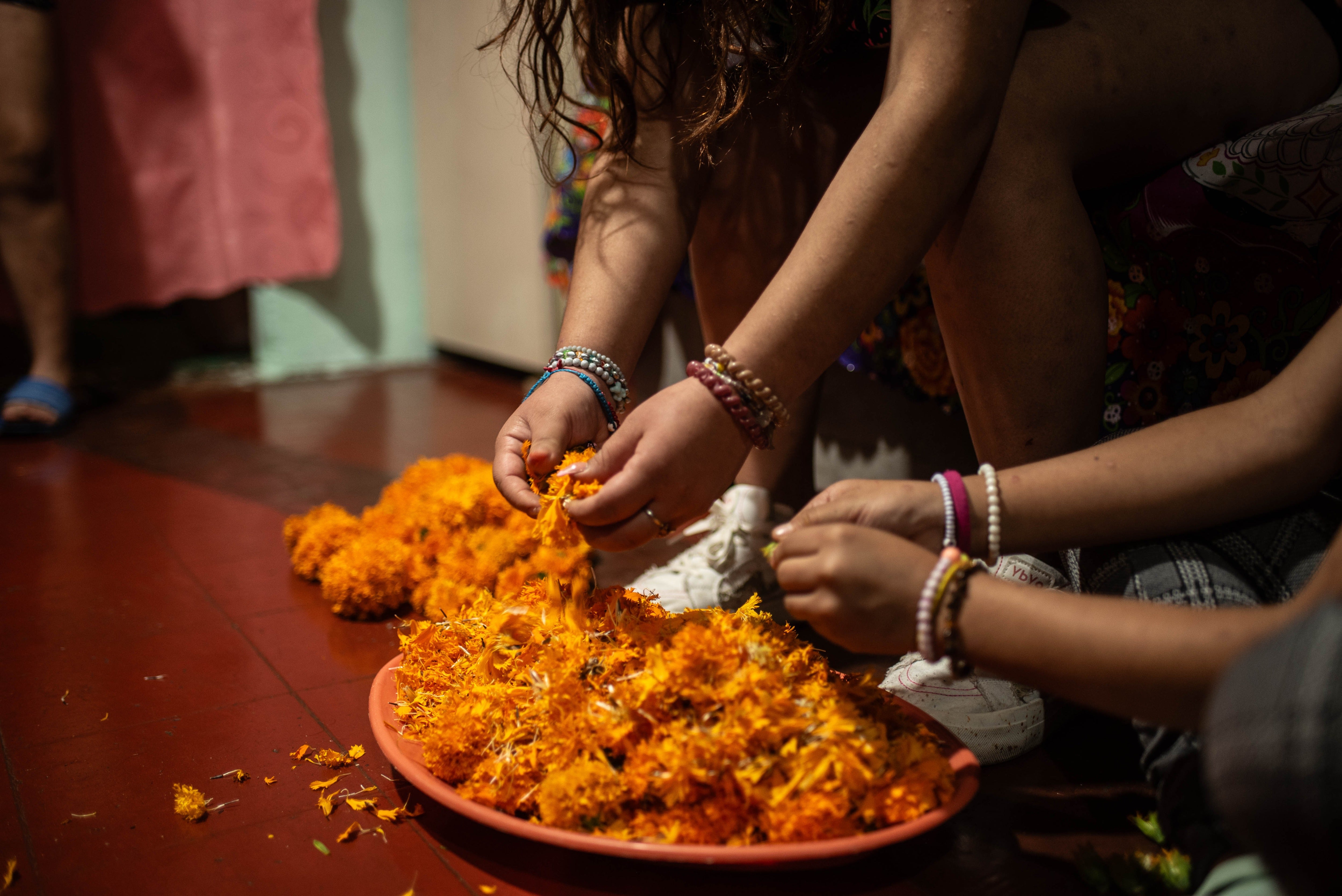 It’s a gardener’s dream flower. But could marigolds also be the next superfood?