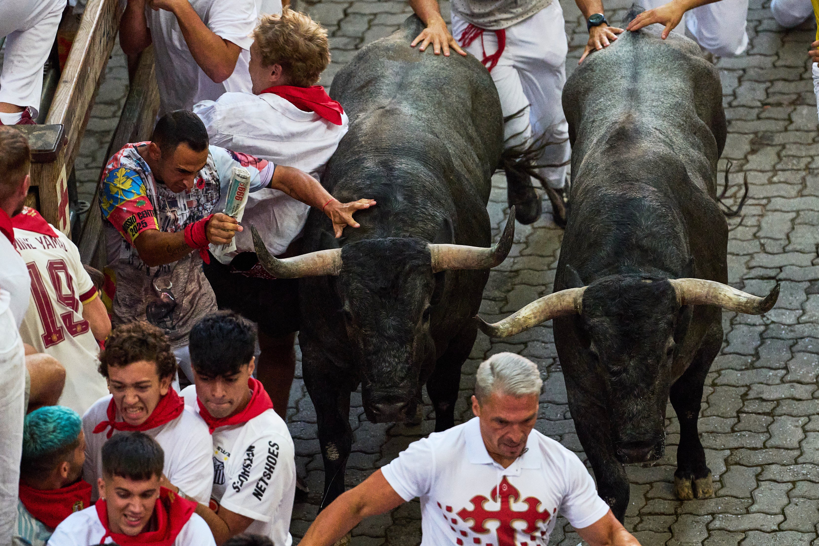 Veseljaci trče uz borbene bikove Josea Escolara tijekom petog trčanja bikova na festivalu San Fermín u Pamploni, Španjolska, subota, 11. srpnja 2026. (AP Photo/Miguel Oses)