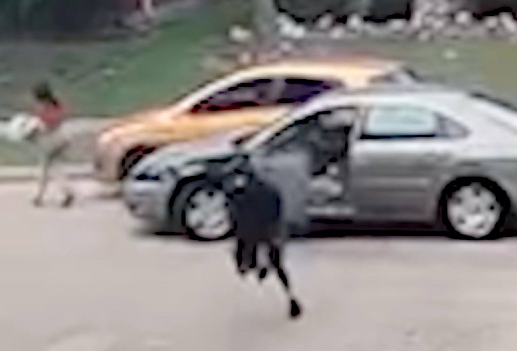 Determined DoorDash driver finishes her delivery despite being hit by a car trying to escape police