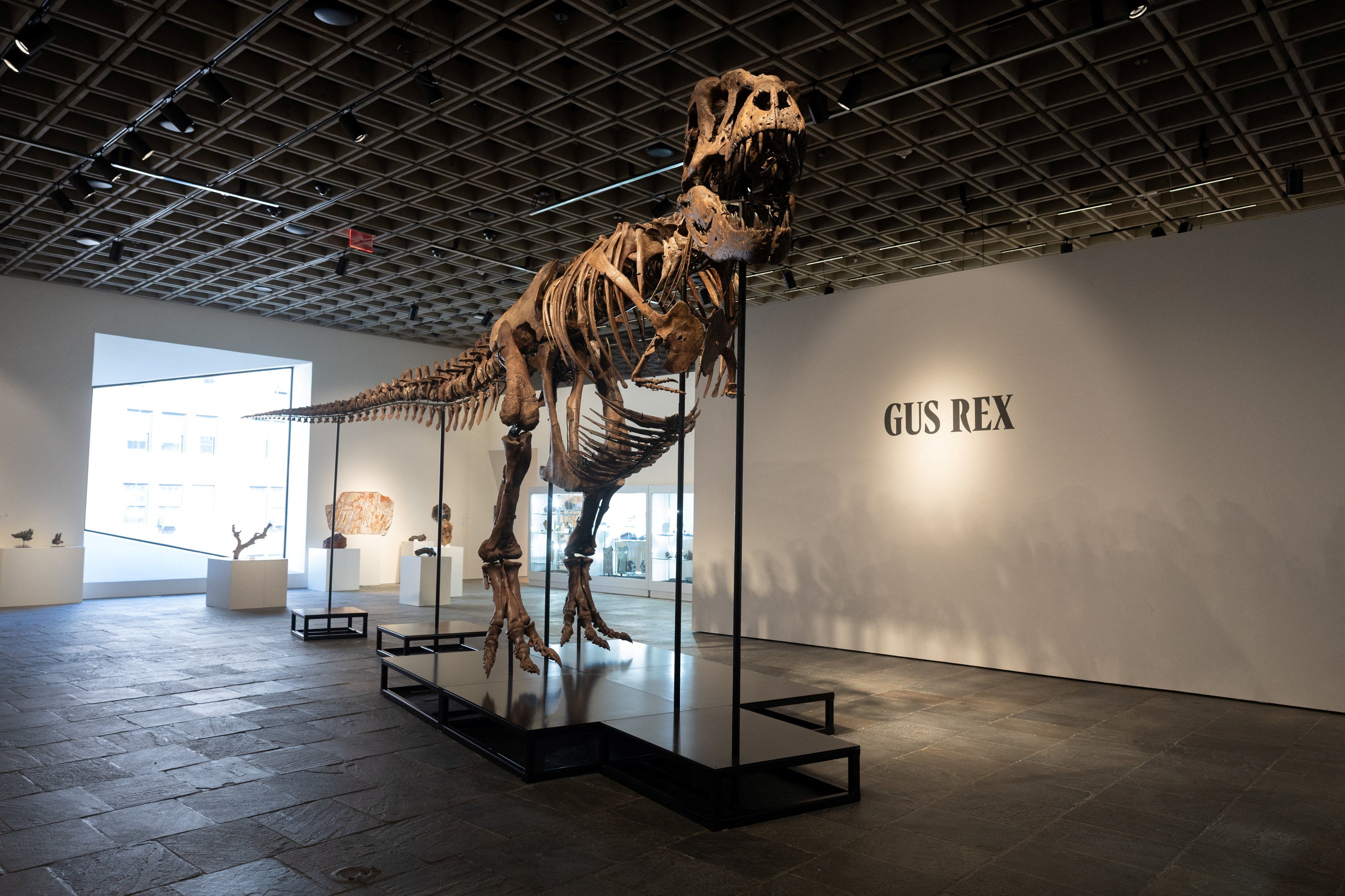 Sotheby’s, nan New York auction house, confirmed that “Gus” eclipsed erstwhile records
