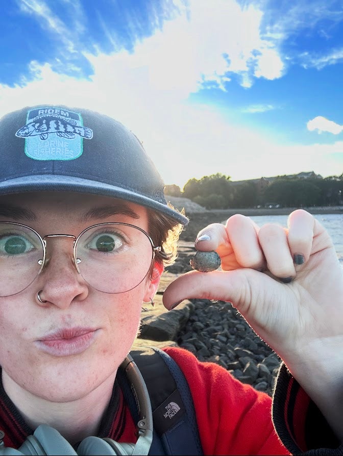 Tips from section clammers and researchers inspired nan scientists to hunt for surviving Manila clams successful nan region, which they yet discovered
