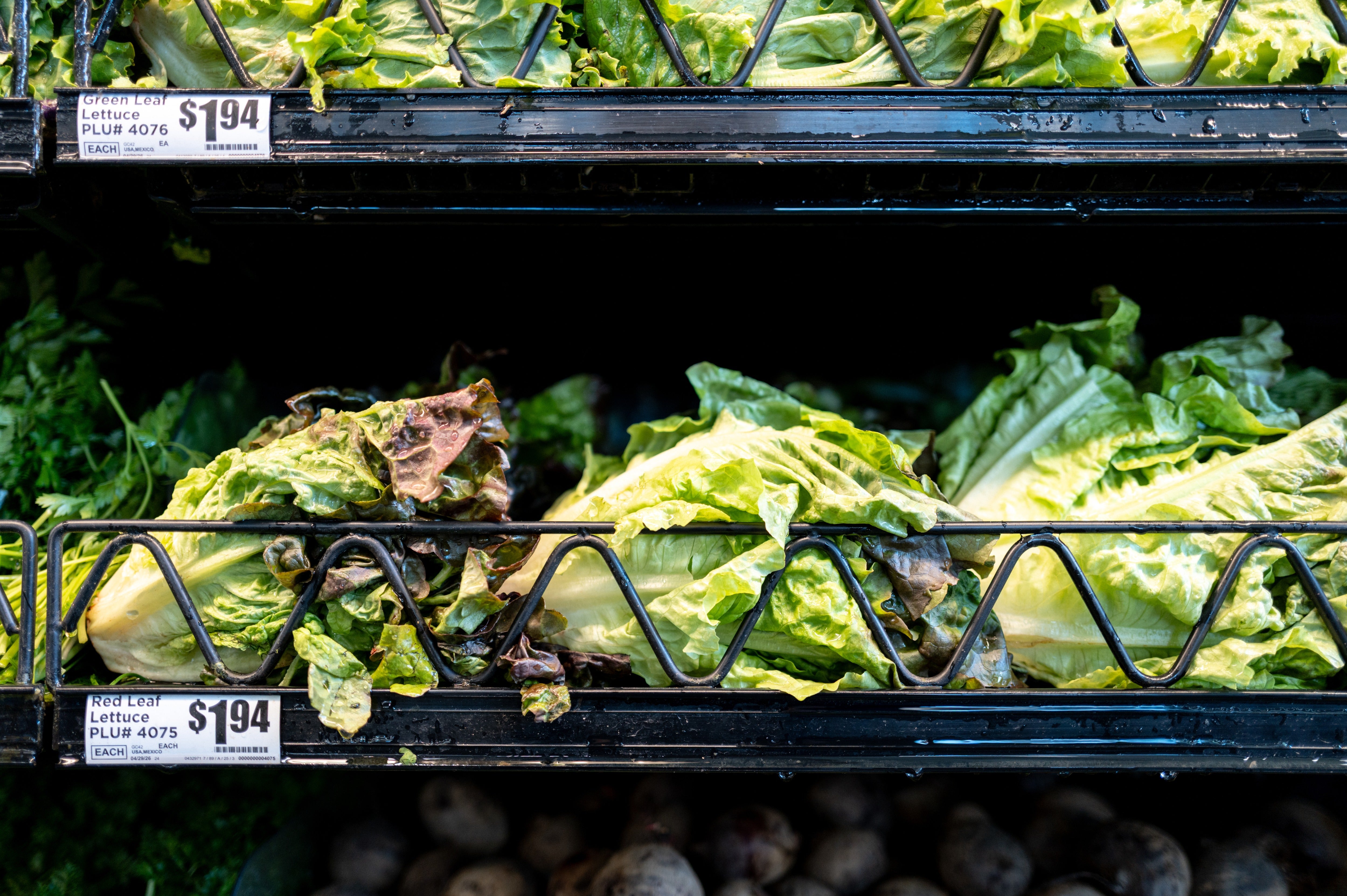 In Michigan — wherever location are now 3,309 reported cases — wellness officials opportunity lettuce is simply a imaginable source