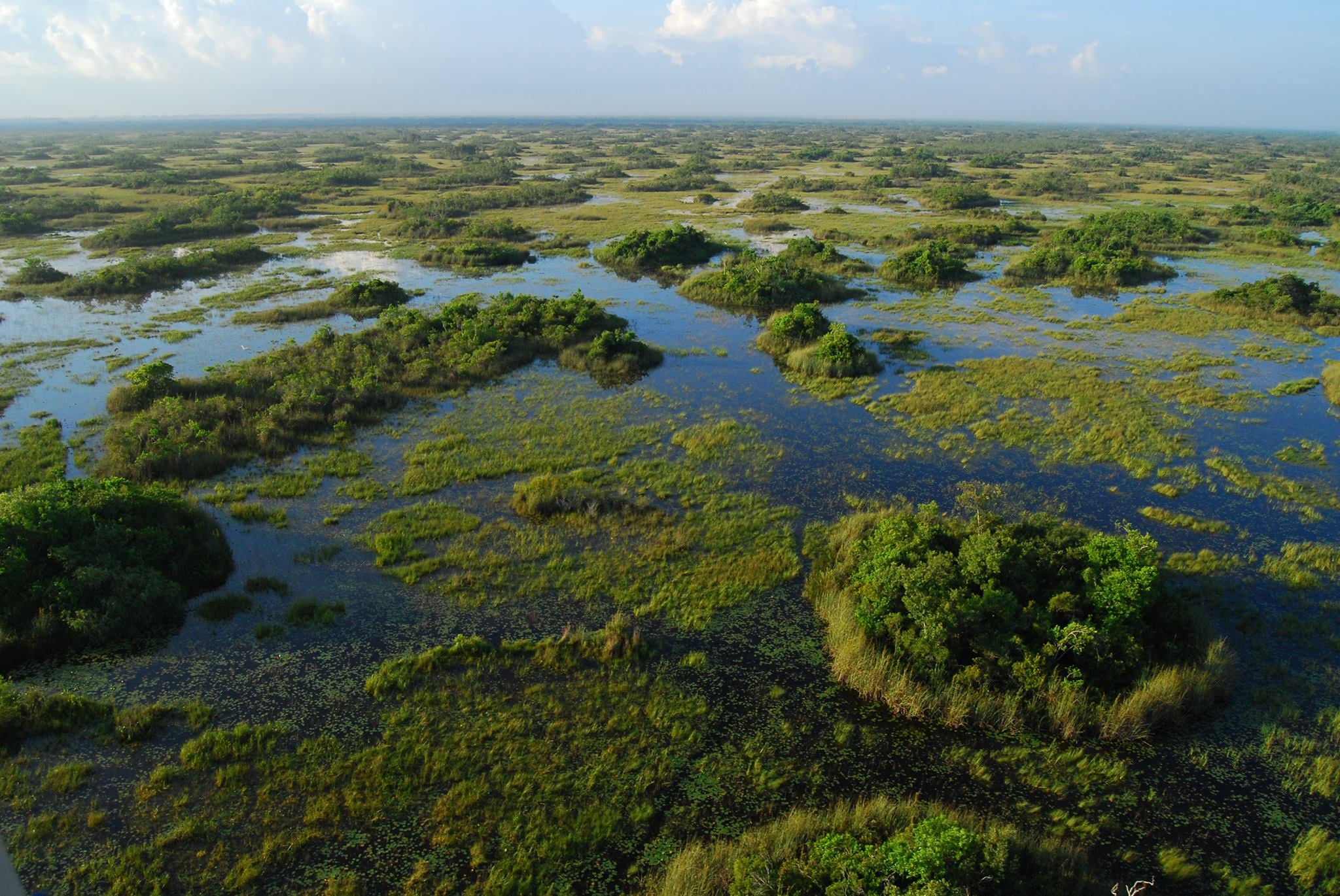 Residents fearfulness nan project, which sits by nan Arthur R. Marshall Loxahatchee National Wildlife Refuge, could negatively effect nan region’s h2o supply