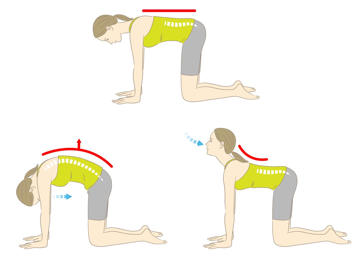 Neutral, 'cow' (back to the sky) and 'cat' (stomach to the ground) stretches