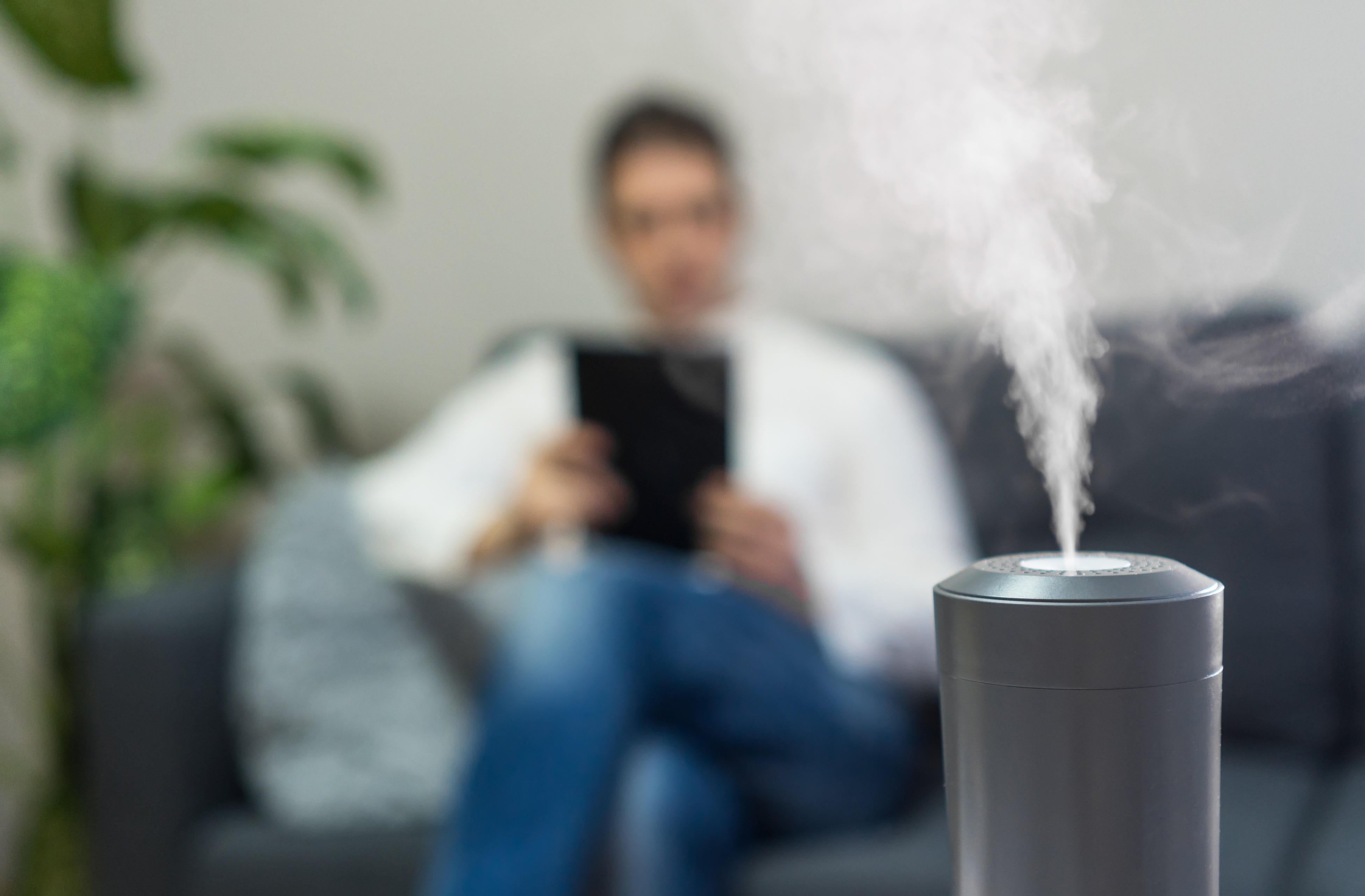 House plants and humidifiers help moisture