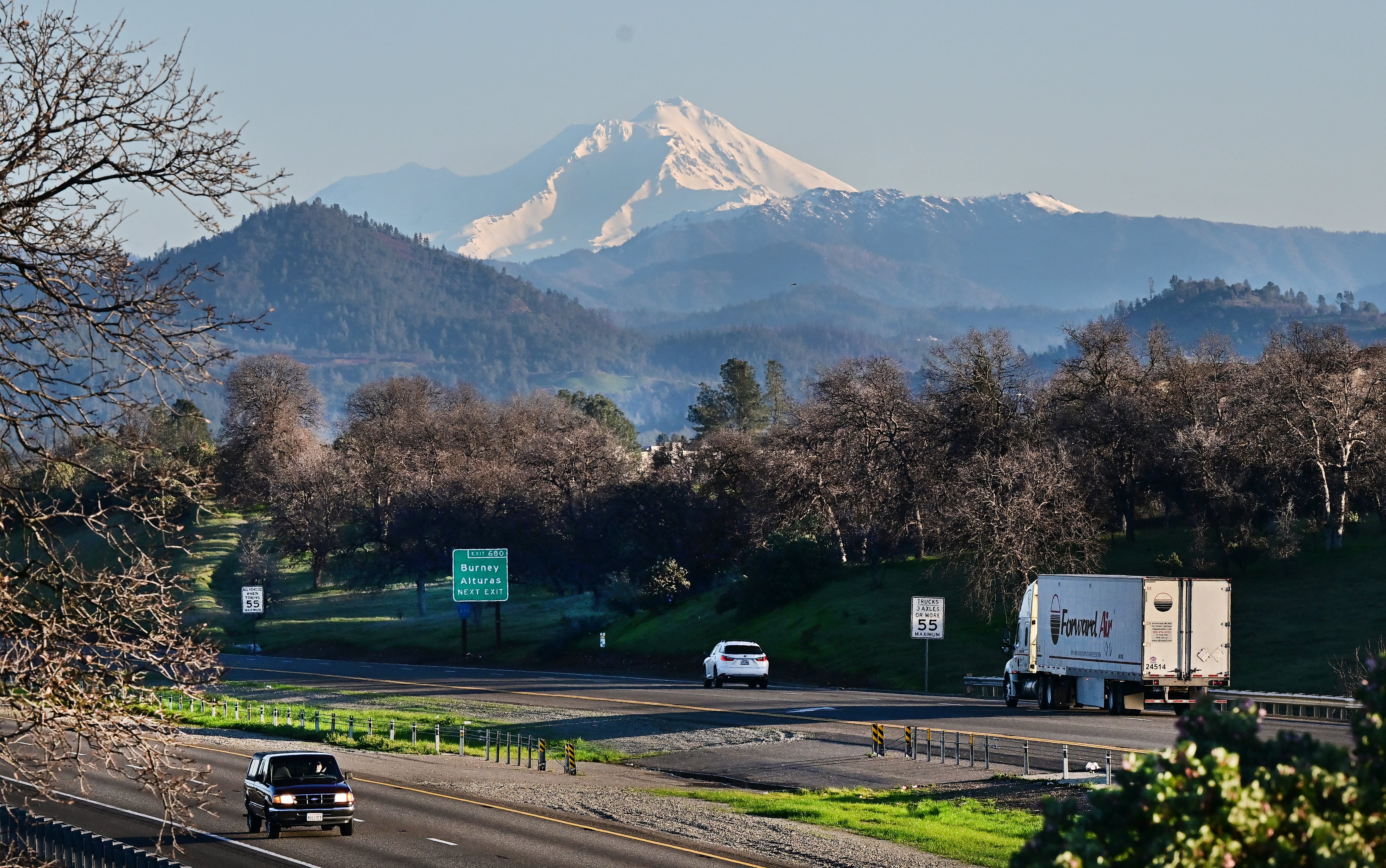 The workers were conducting section activity successful Shasta-Trinity National Forest erstwhile they were kidnapped, according to officials