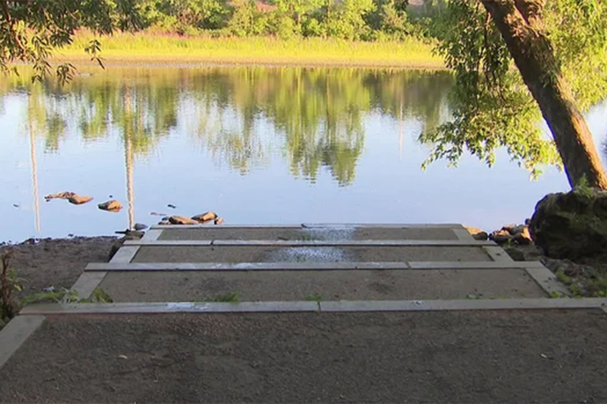 A pet proprietor believes toxic algae poisoning killed her 16-year-old dog, Dobby, days aft she swam astatine Millennium Park successful West Roxbury, Massachusetts