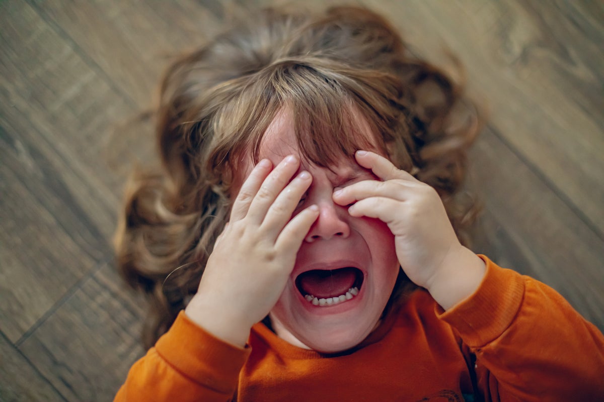 That ‘terrible two’ tantrum may actually be a sign of healthy development That ‘terrible two’ tantrum may actually be a sign of healthy development