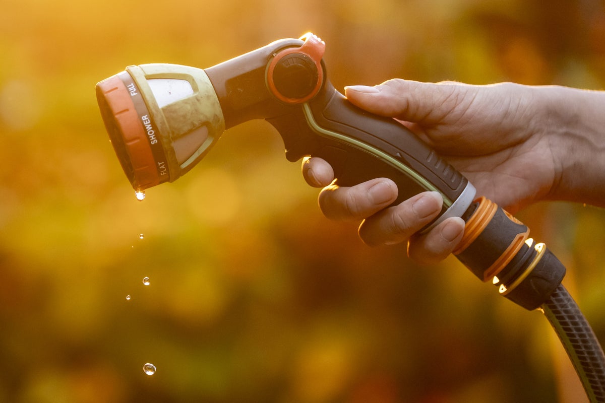 Britain's biggest water firm announces hosepipe ban for 10m customers