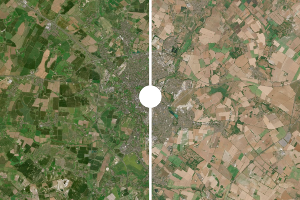 Before and after pictures reveal devastating impact of back-to-back heatwaves on the UK