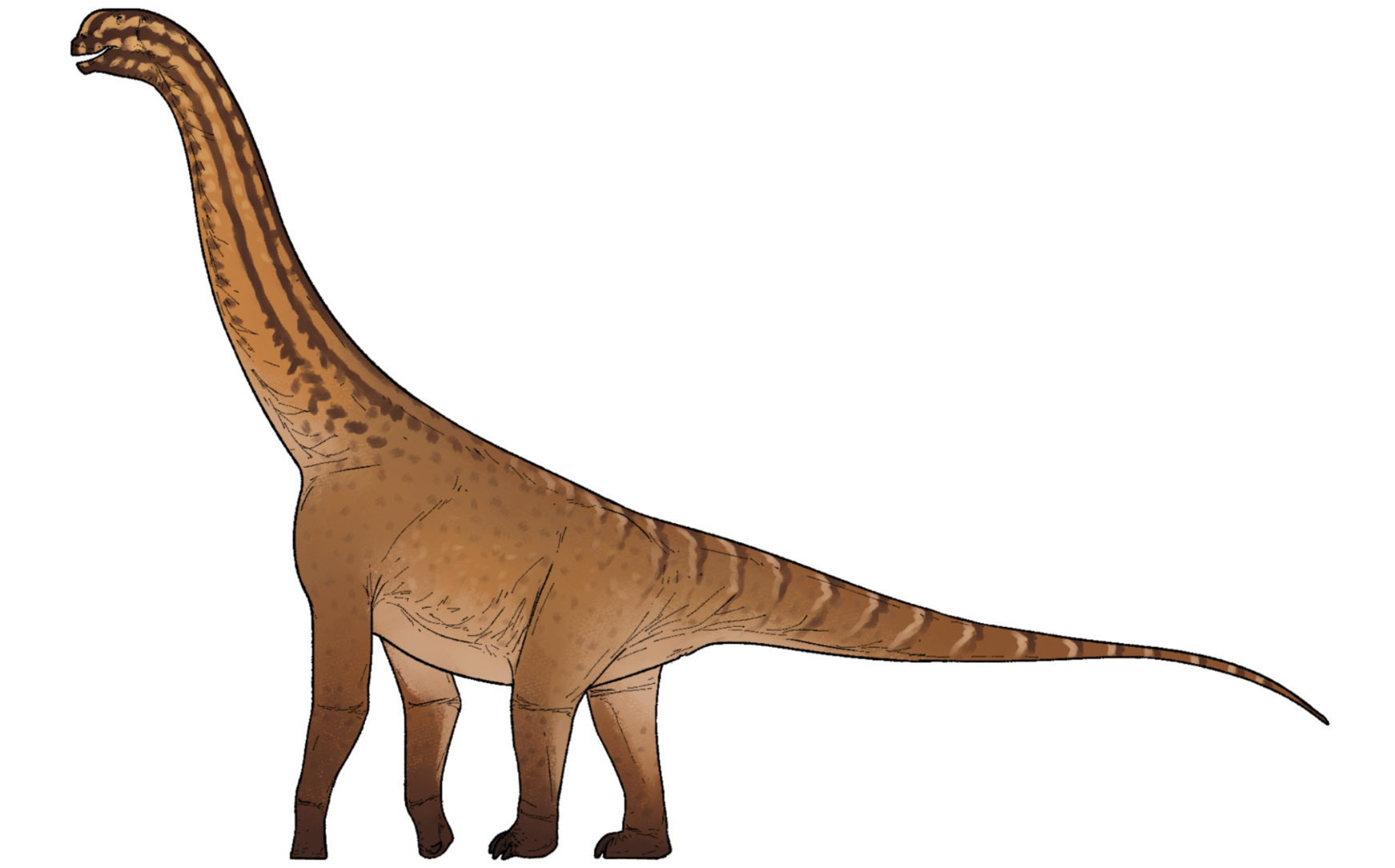 Unique Indian fossil transforms our understanding of one of most popular dinosaur groups