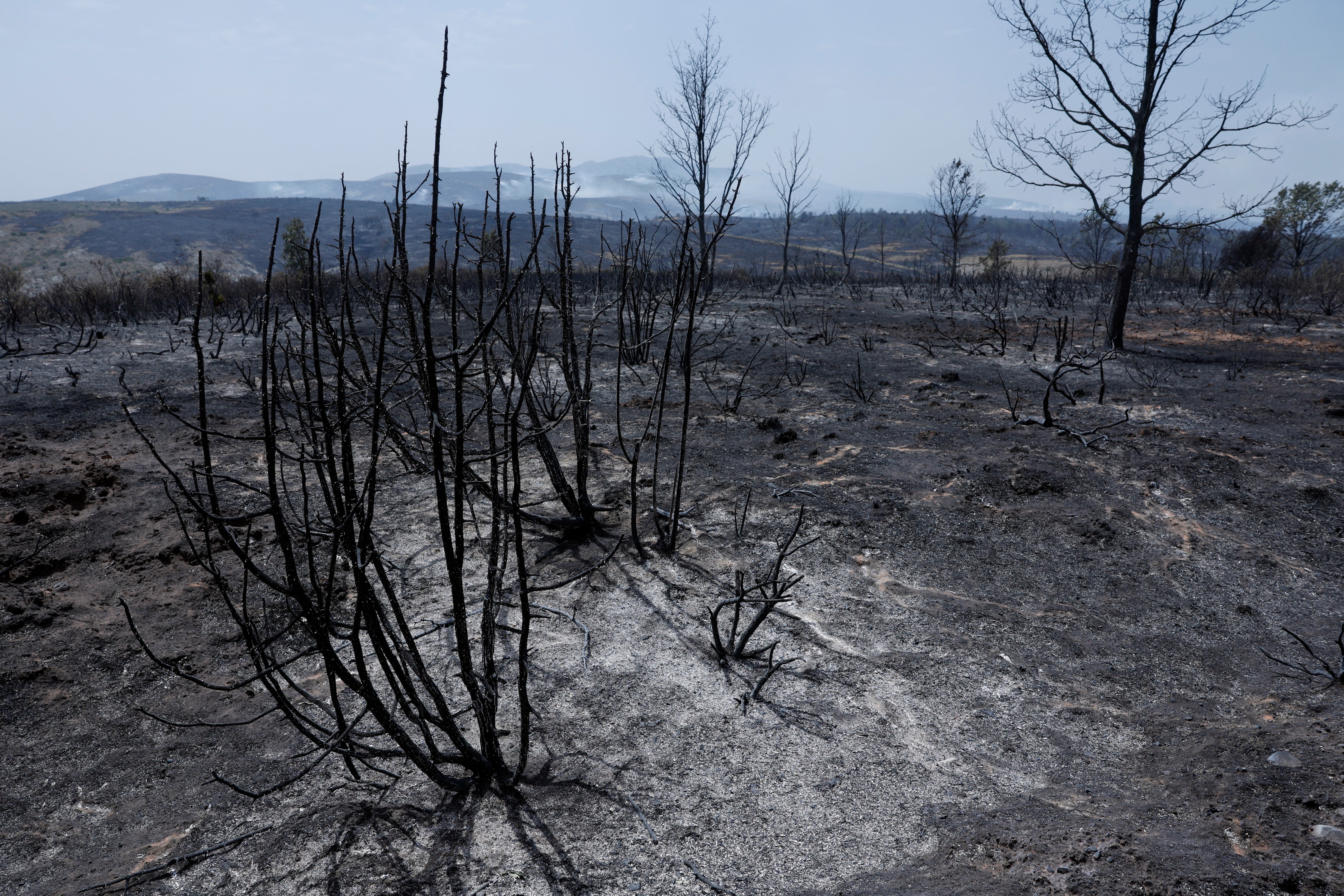 Heatwaves led to wildfires across Europe this summer (AFP/Getty)
