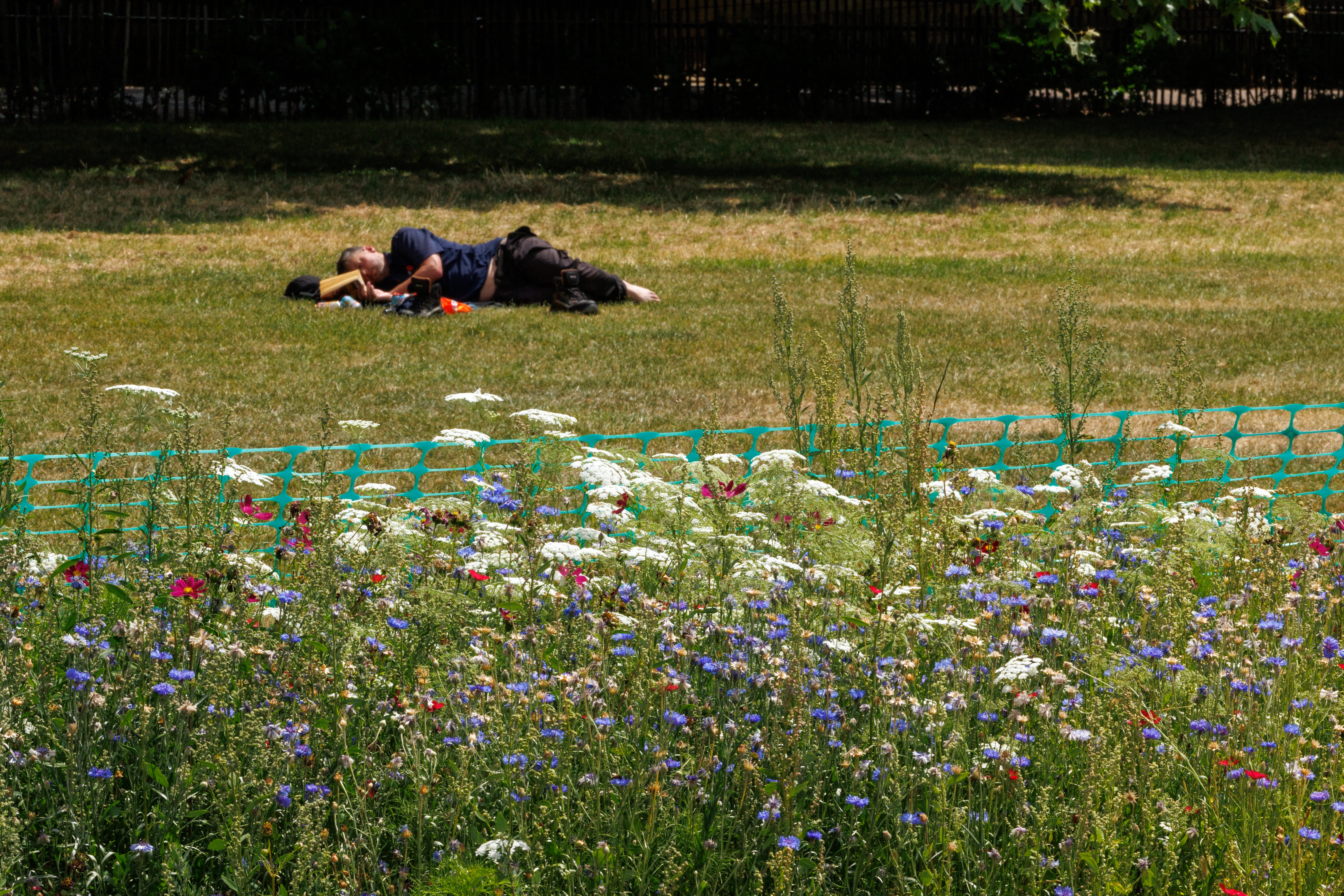 Why you feel so tired in the summer – and what to do about it