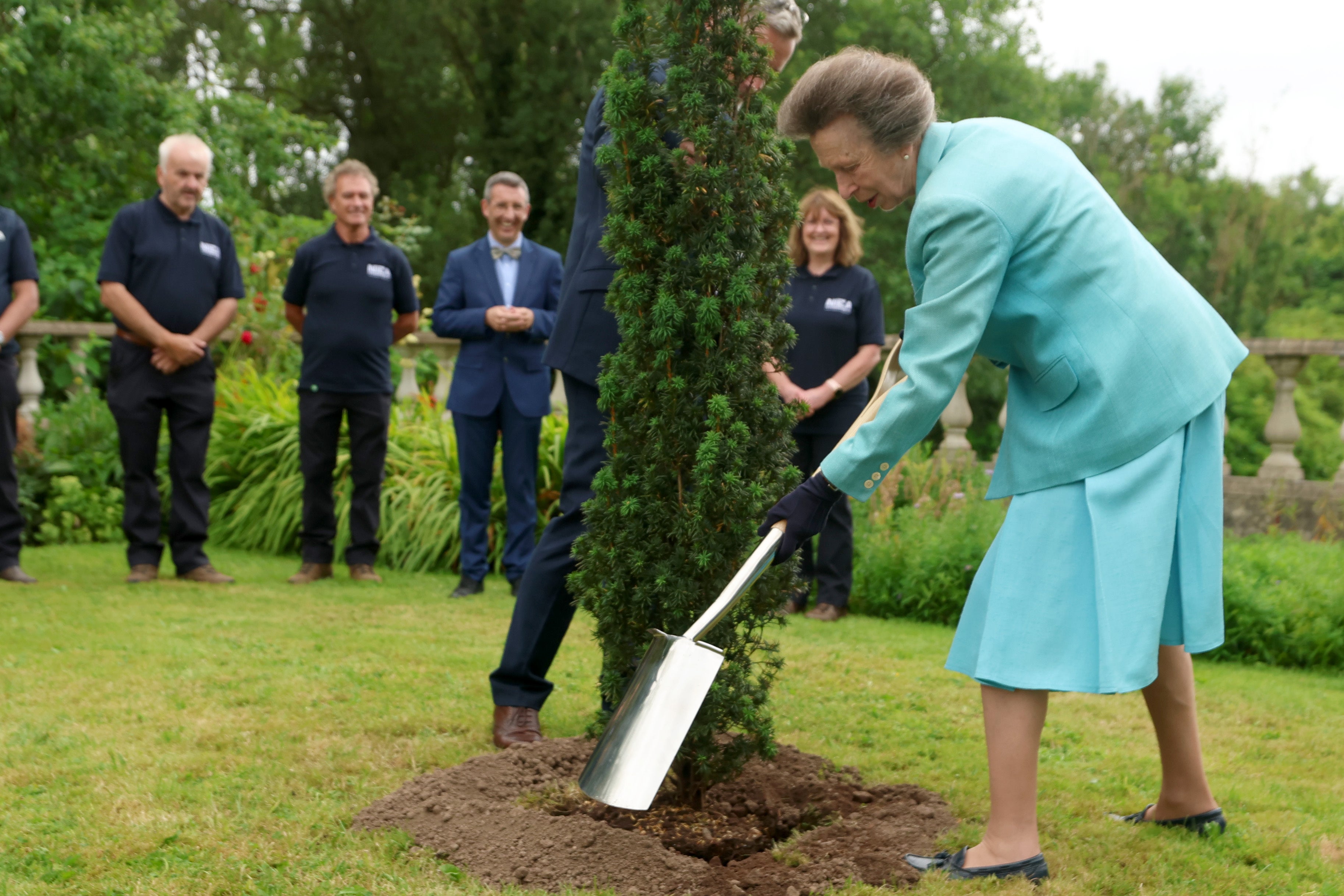 La princesa Ana plantó un tejo irlandés