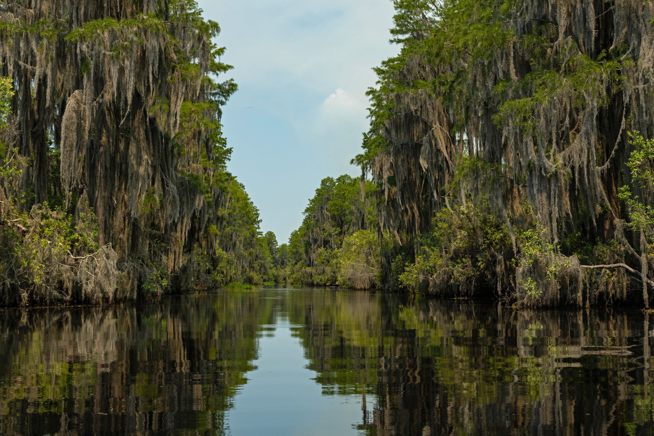 Despite nan prestige, it’s an grant that immoderate folks who unrecorded adjacent nan swamp would conscionable arsenic soon skip