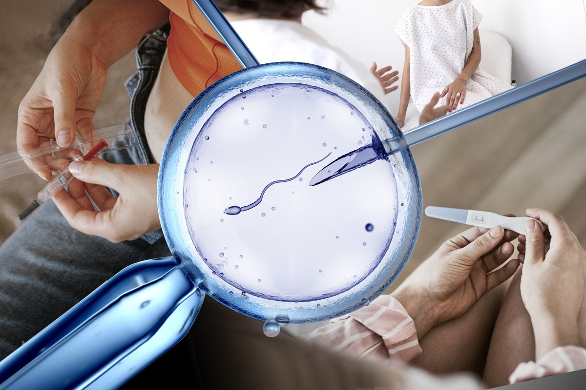 Amid the panic about the birth rate crisis, access to IVF is being quietly decimated Amid the panic about the birth rate crisis, access to IVF is being quietly decimated