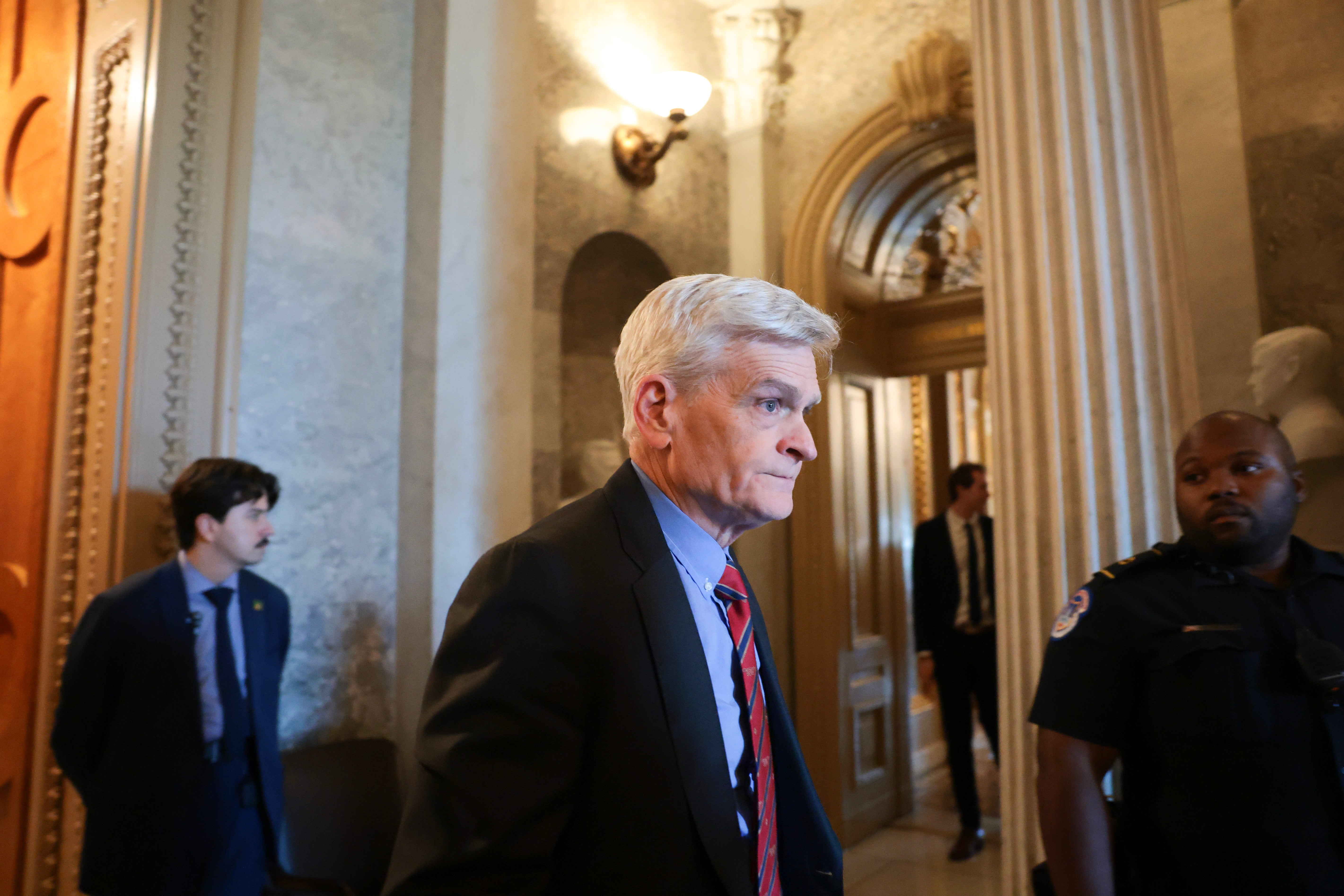 Bill Cassidy, different Republican senator, angrily confronted Trump complete Iran successful June