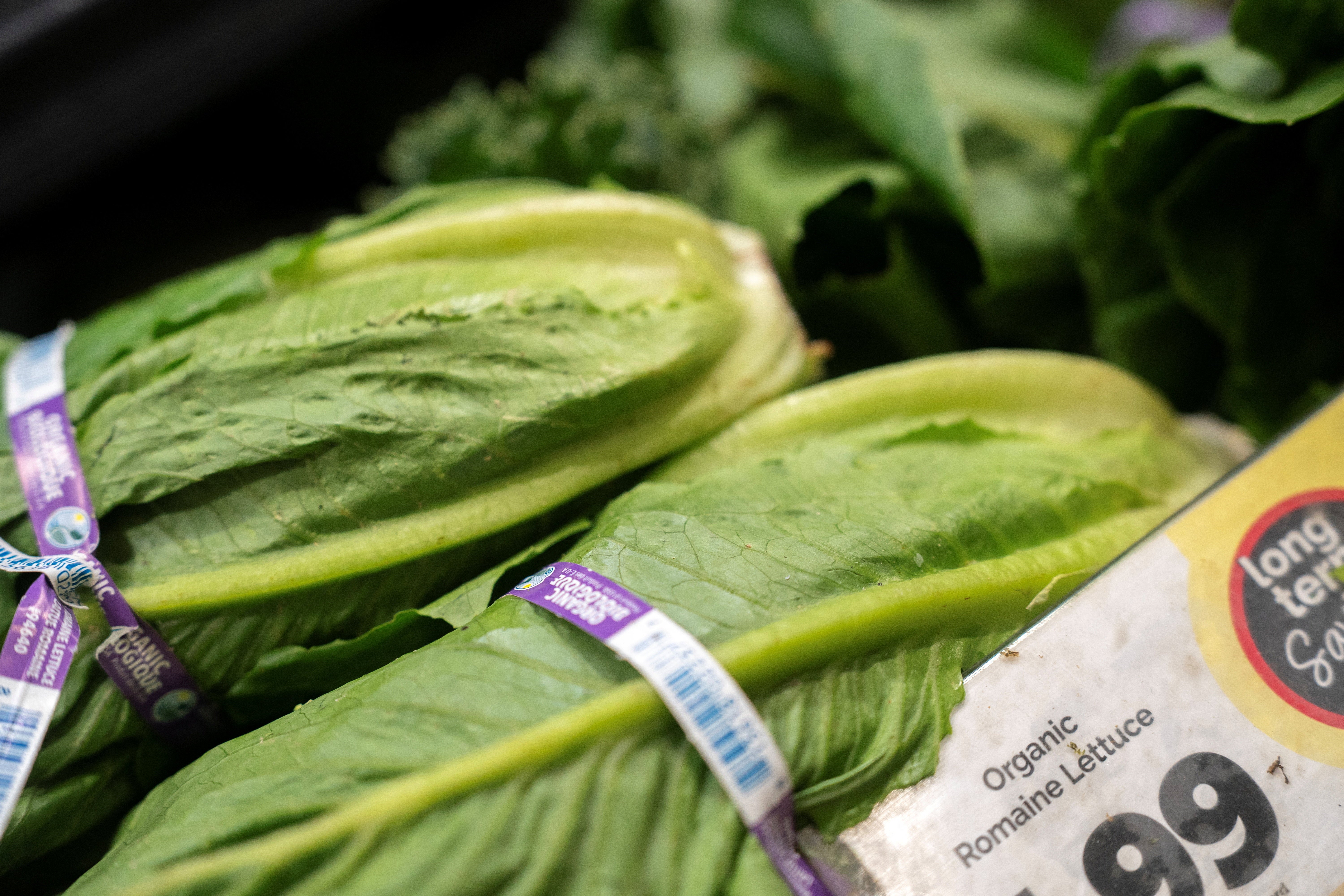 The U.S. is besides battling a awesome outbreak of a parasitic unwellness linked to contaminated lettuce