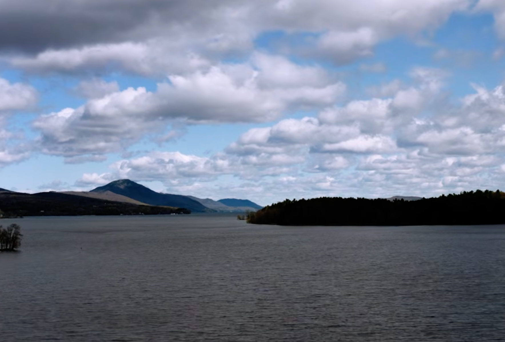 The transmissible crab has been detected successful brownish bullhead catfish swimming successful Lake Memphremagog