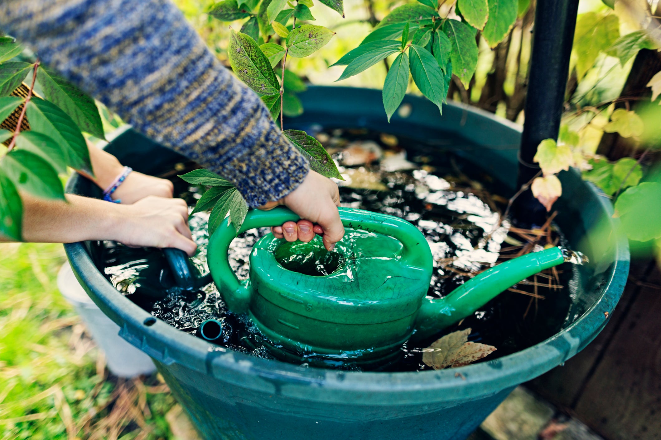Five simple ways to use less water at home in a drought