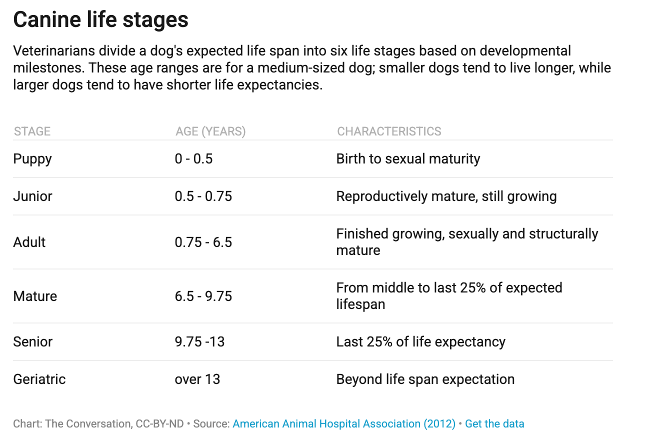 Life stages are a more practical way to think about age than assigning a single number