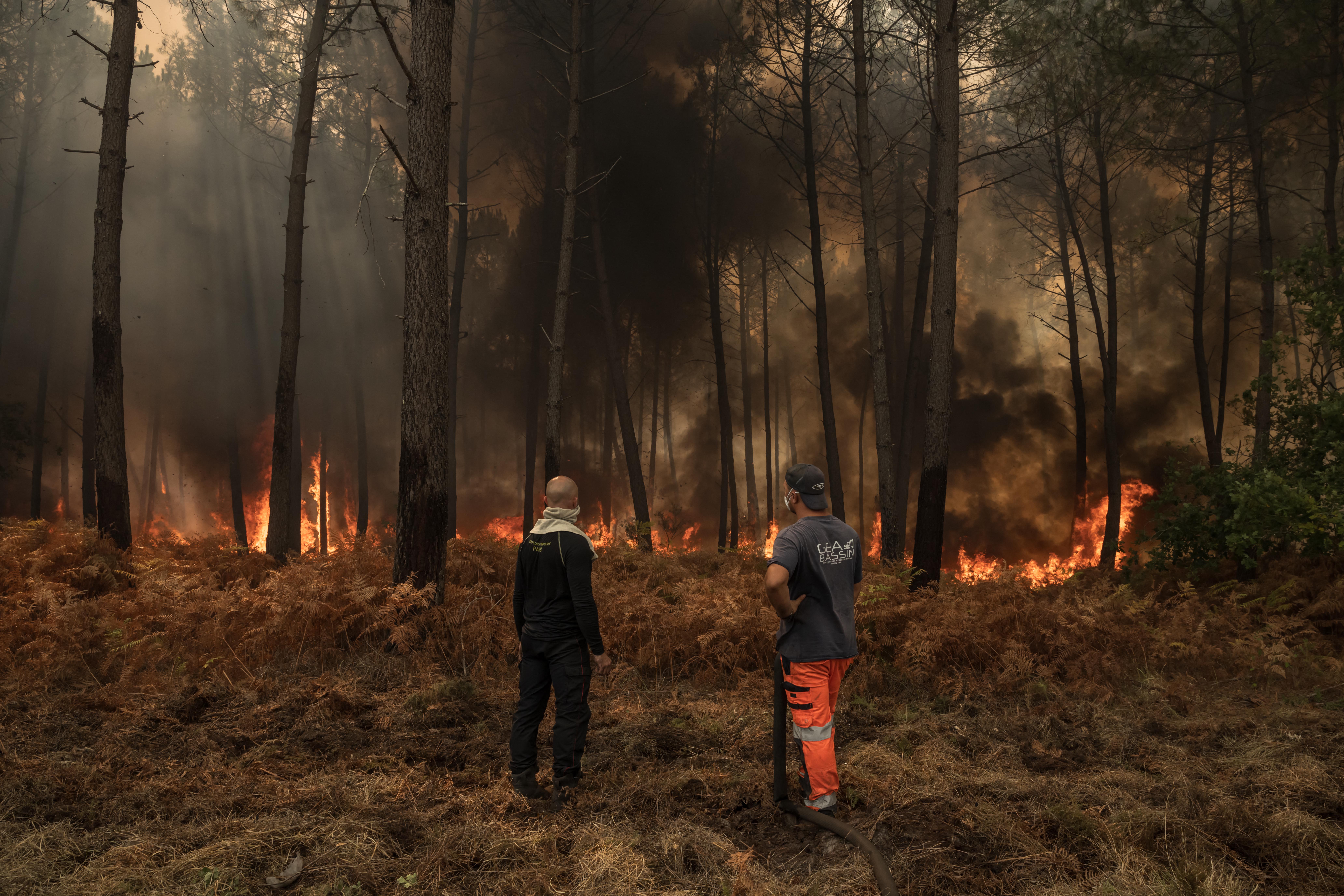 The wildfires haven't reached Bordeaux's vineyards – but this year's wine may already be ruined