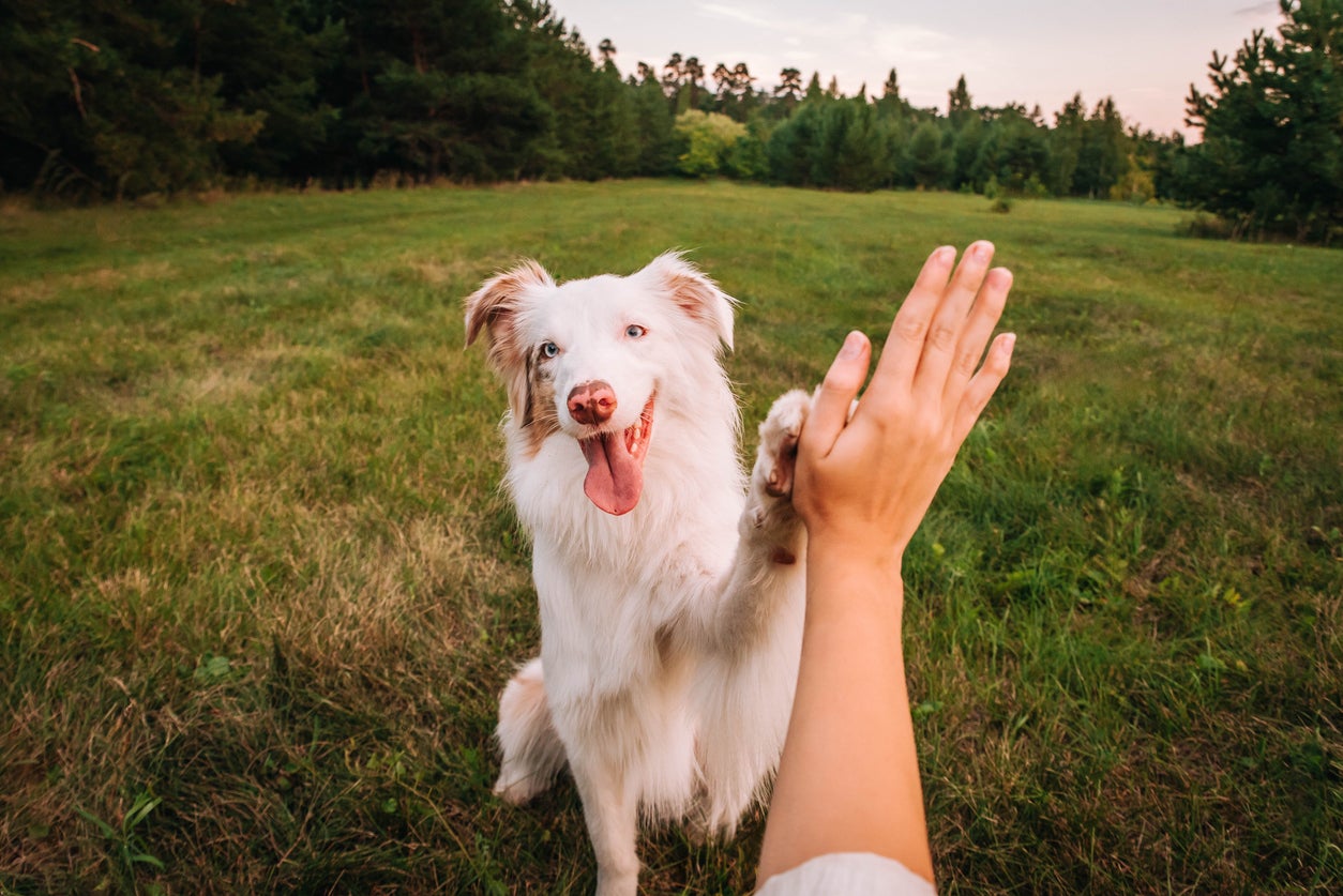 When embraced by humans, many can find this uncomfortable or threatening
