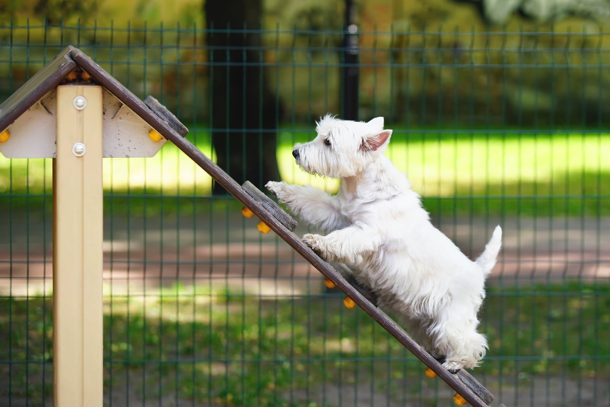 Time spent out of the yard is the very best of fun