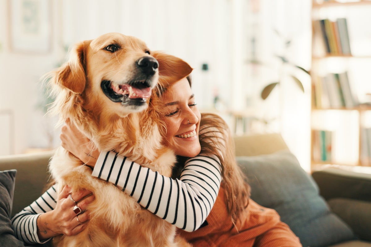 Is a growling dog always aggressive? 10 common myths about canine behaviour Is a growling dog always aggressive? 10 common myths about canine behaviour