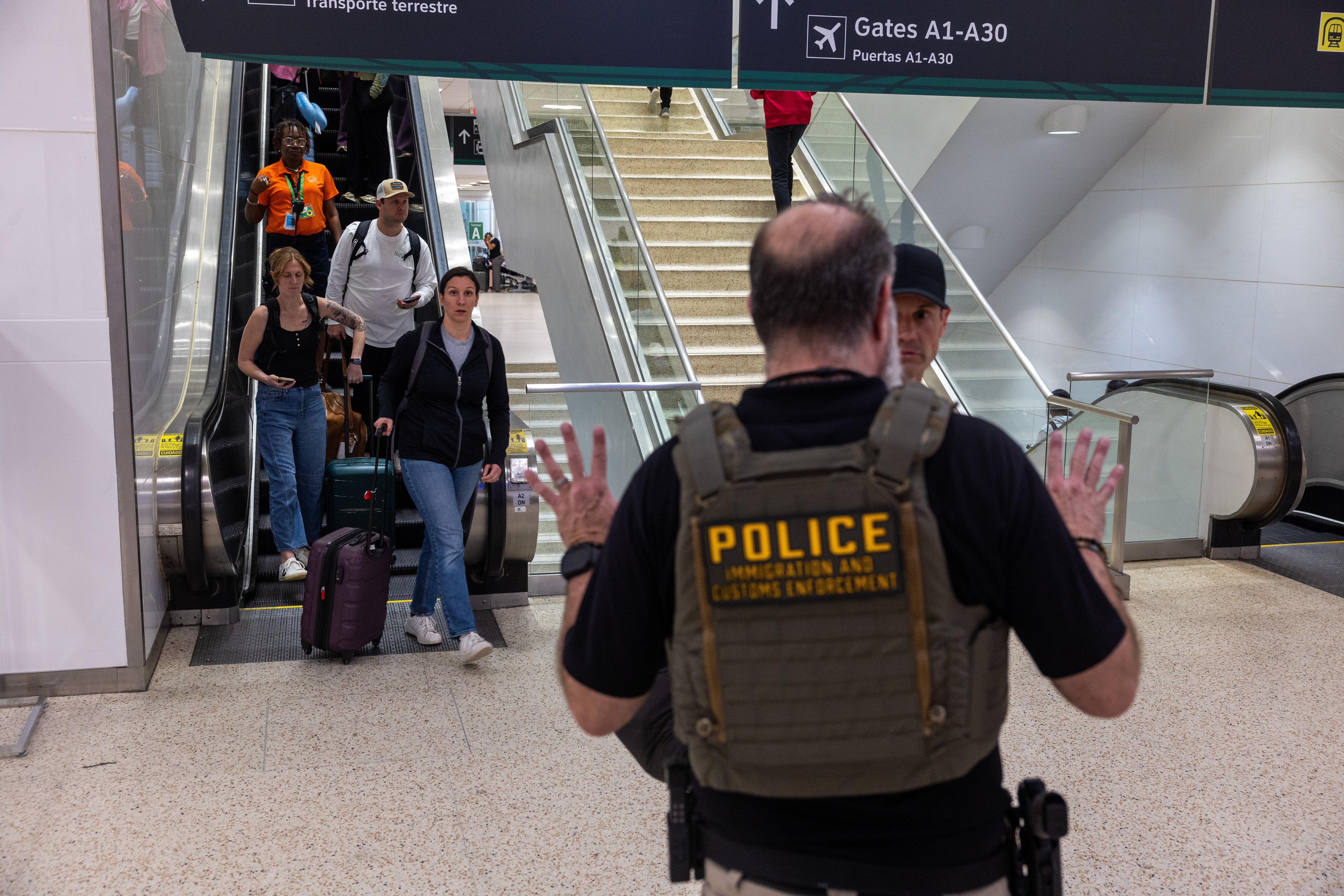 President Donald Trump has many times pledged to transportation retired nan ‘largest wide deportation programme successful history,’ pinch nan extremity of 1 cardinal expulsions a year