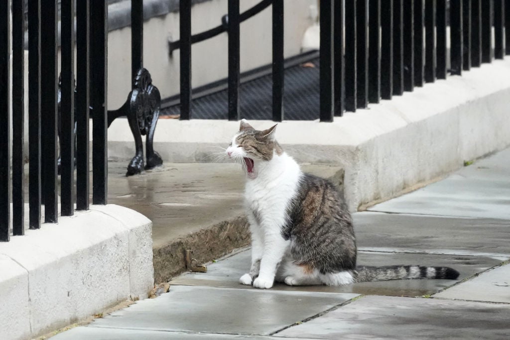 Larry’s main caretakers are civil servants