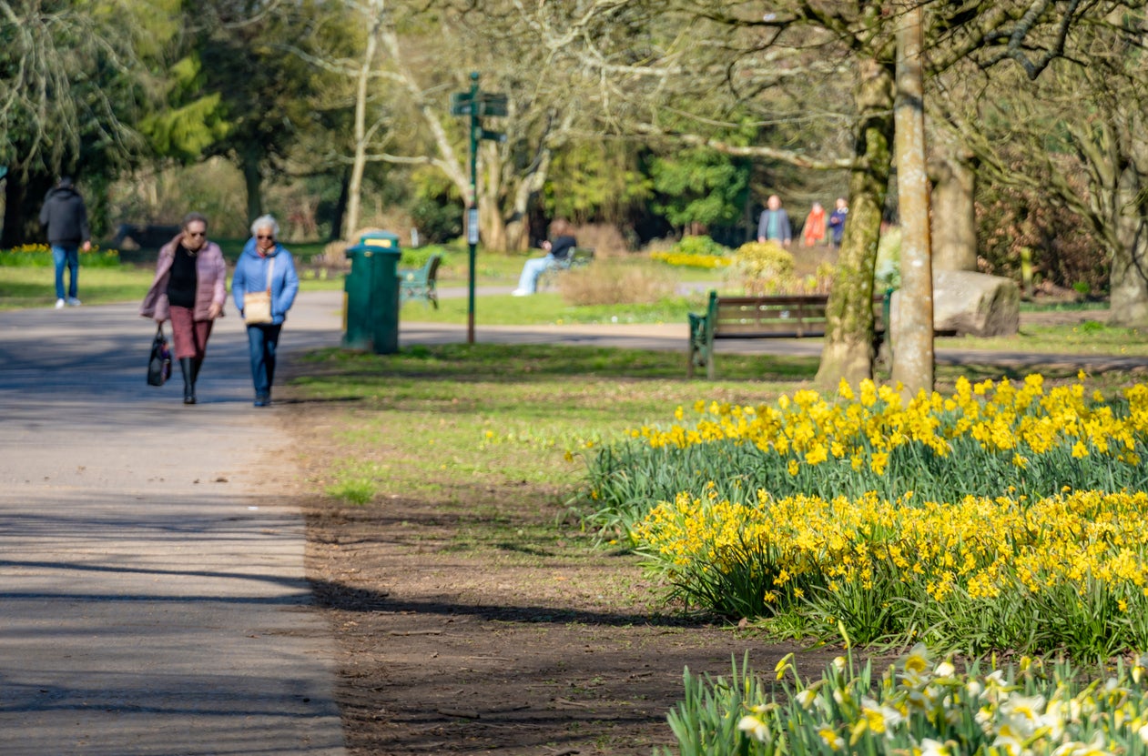 Walk through a park, along a river trail or down a tree-lined street whenever possible