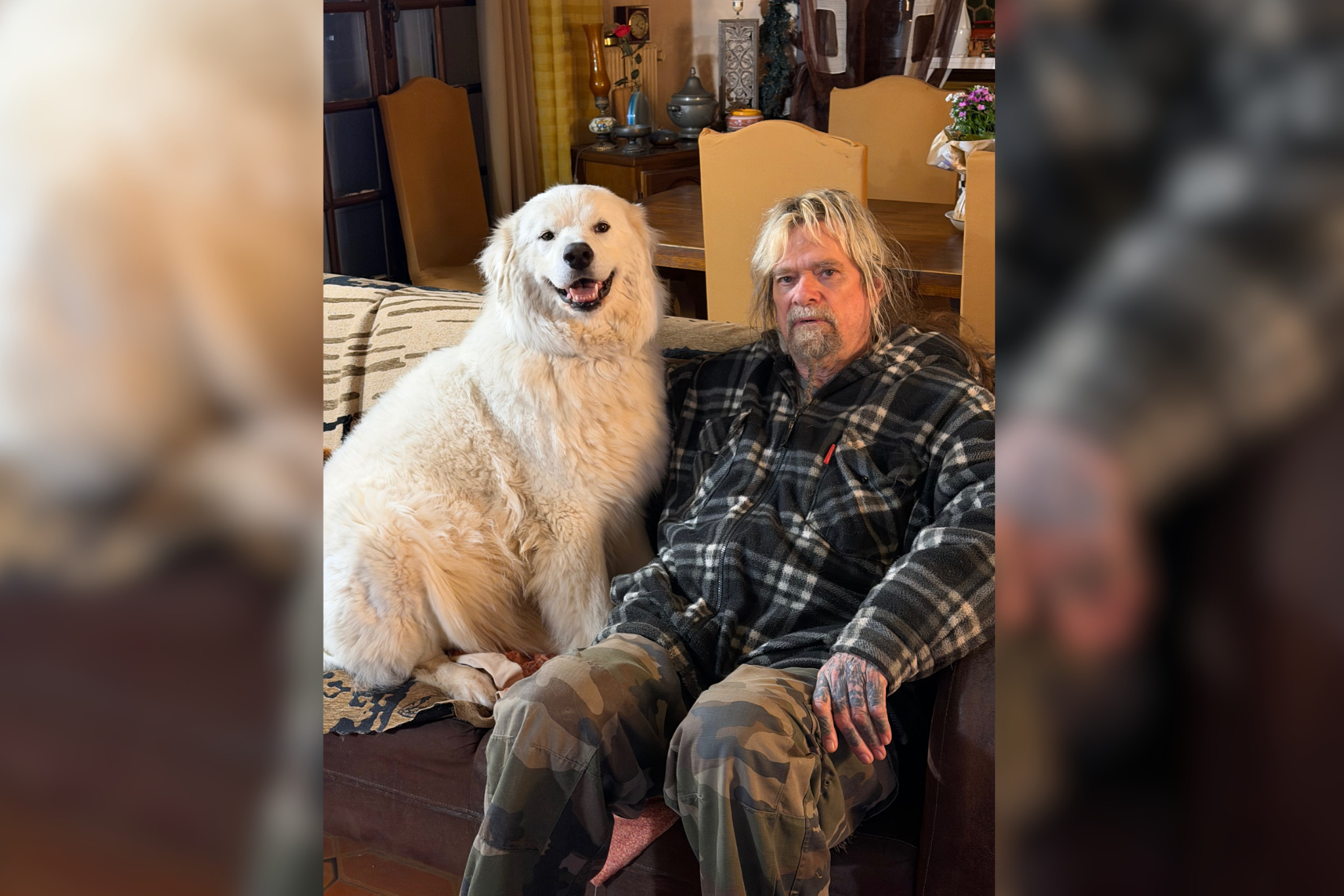 https://static.the-independent.com/2026/08/01/19/29/Chris-Holmes.png?trim=0,0,0,0&width=1200&height=800&crop=1200:800