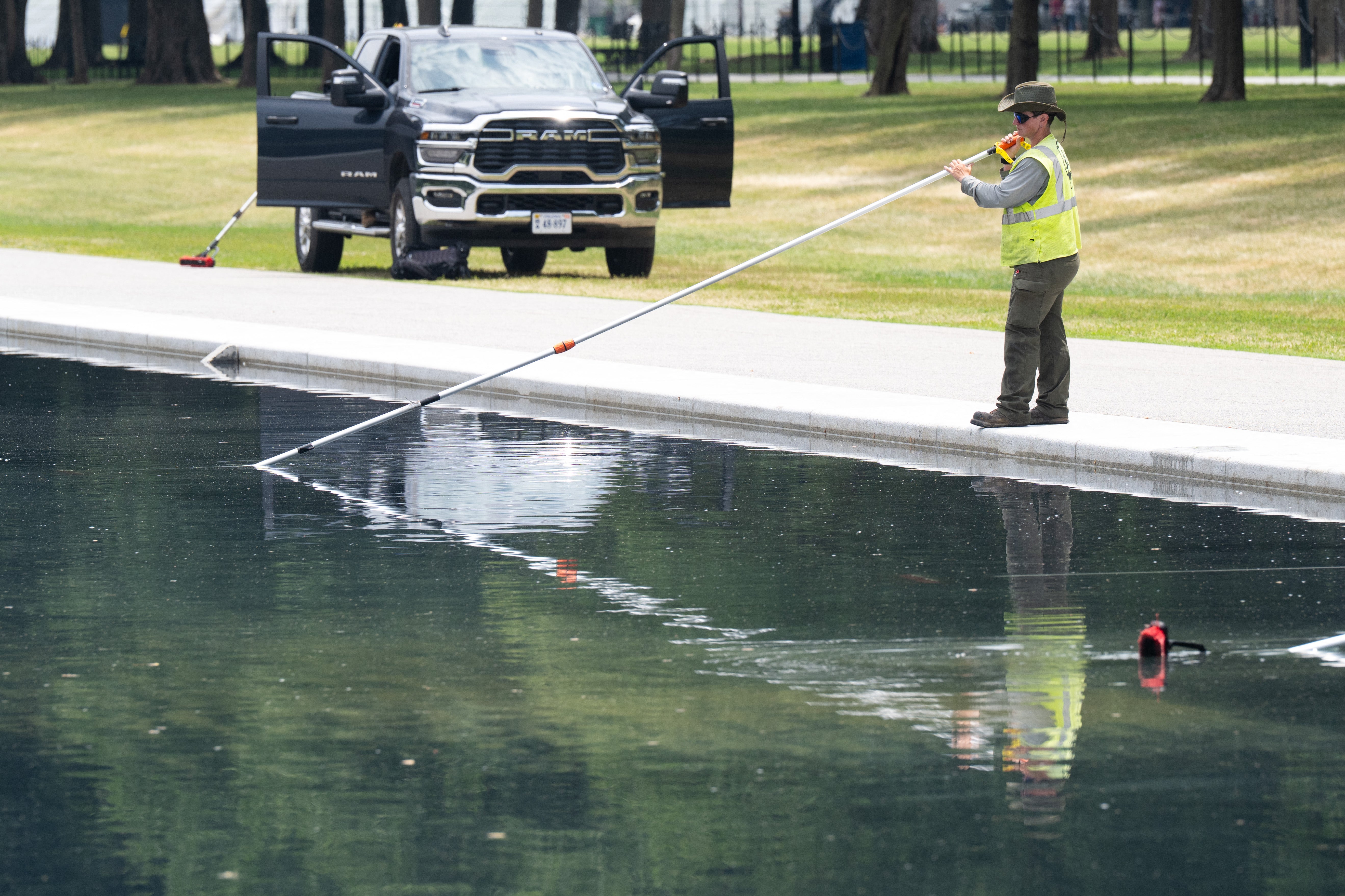 Green algae quickly re-bloomed connected nan aboveground of nan Lincoln Memorial Reflecting Pool aft a institution installed a liner and repainted nan bottom