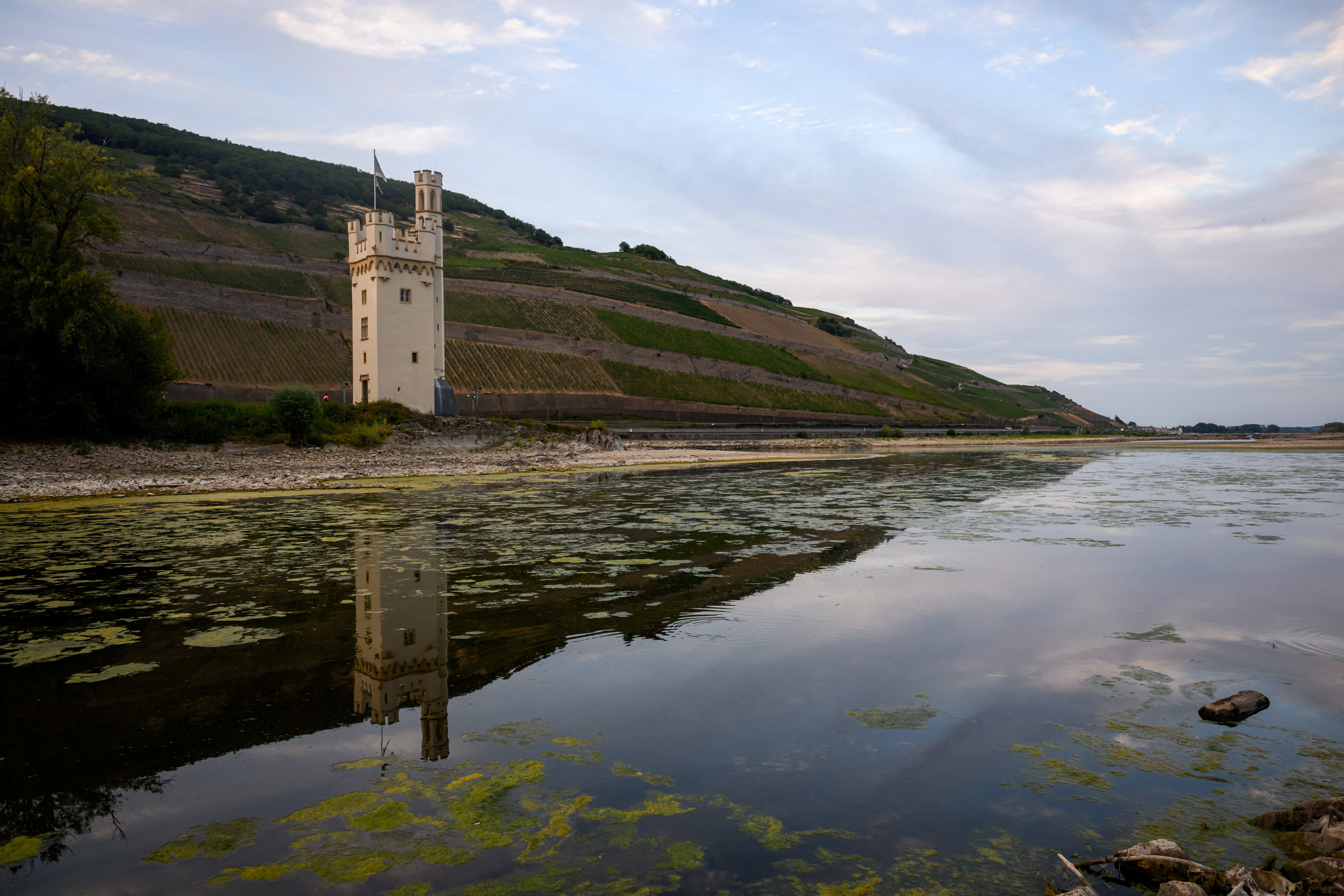 Germany's economy at risk as Rhine river hits record level
