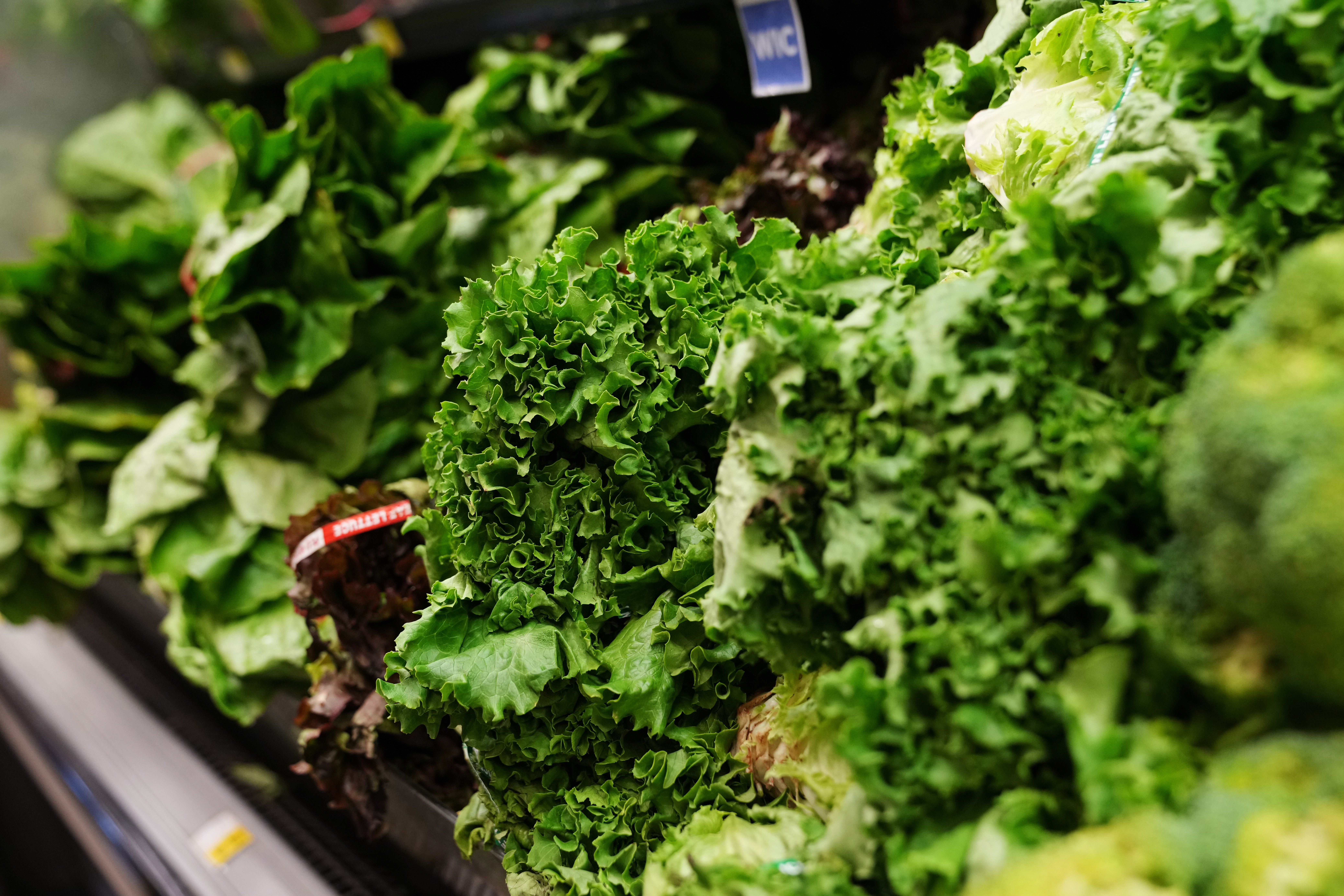 America's biggest parasite outbreak forces food giant to ditch Mexican lettuce