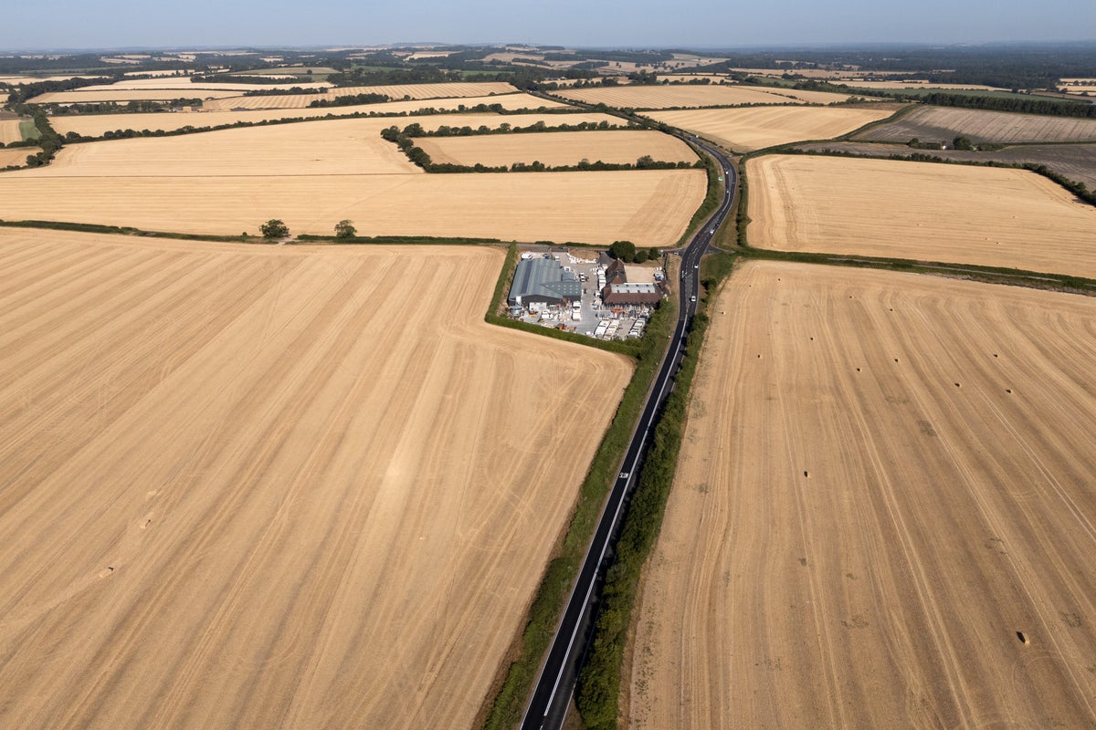 ‘Brutal' harvest could be worst on record because of extreme summer – analysis