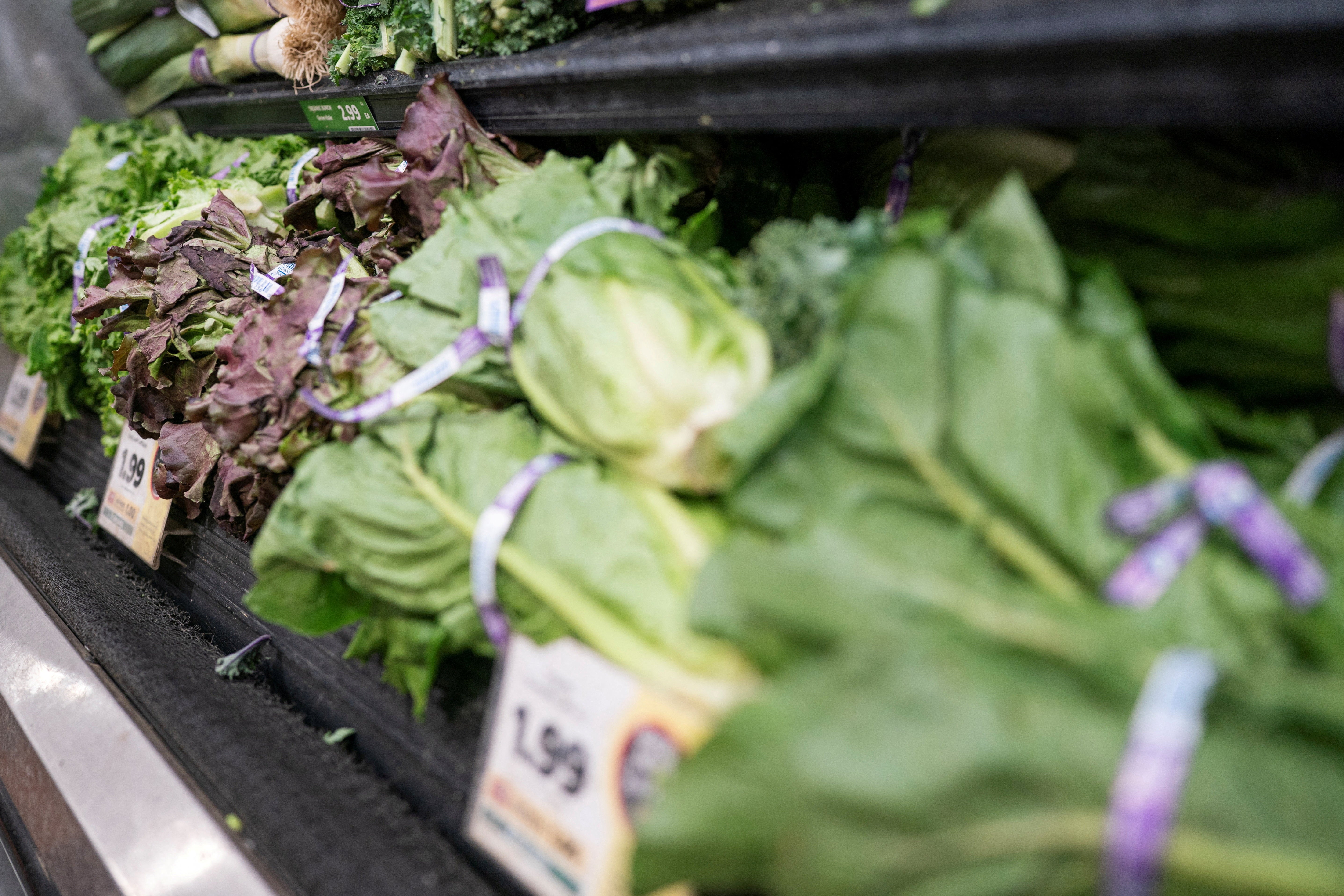 American food giant ditches Mexican lettuce amid outbreak