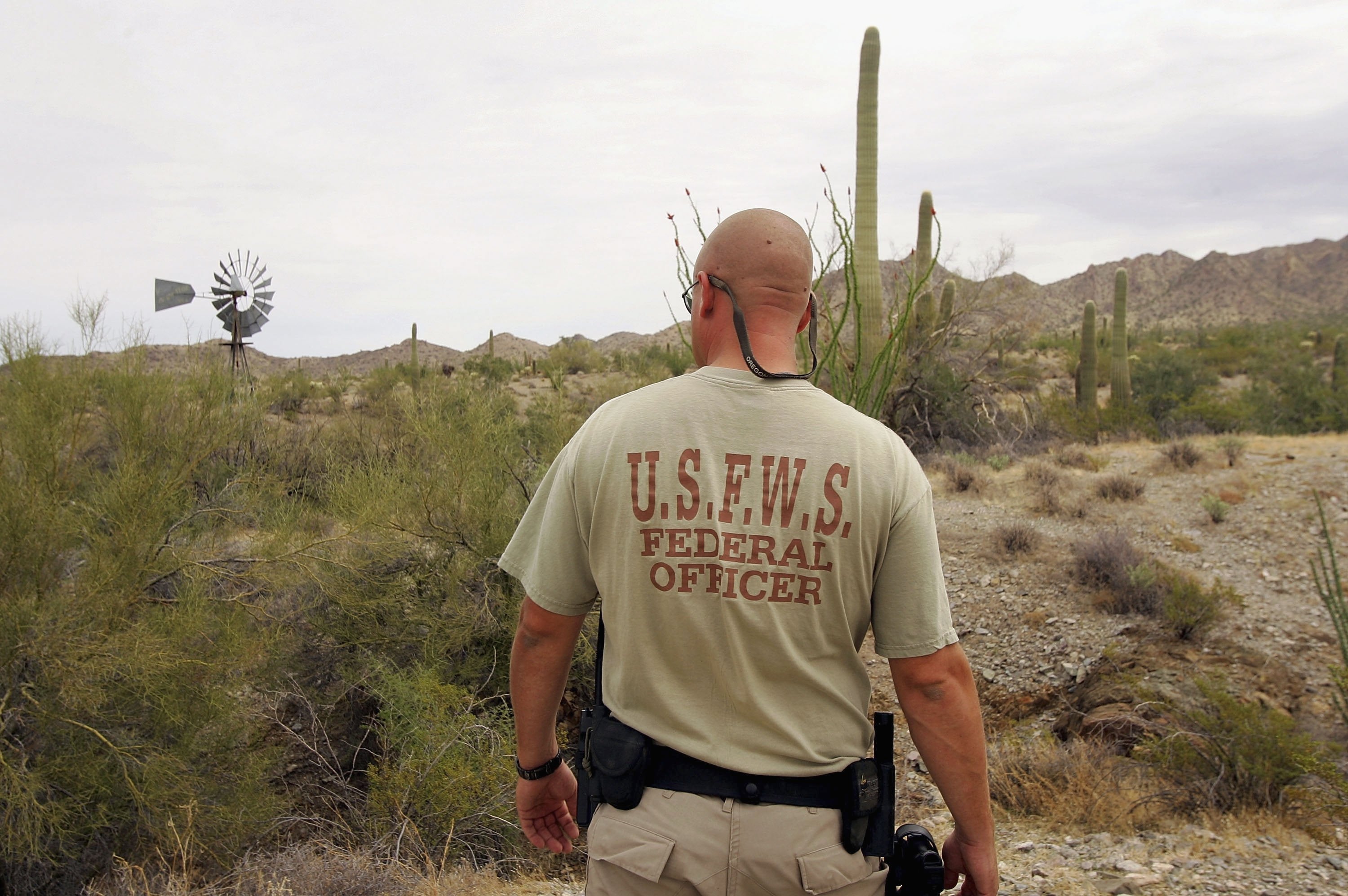 The US Fish and Wildlife Service became progressive successful a state-level investigation into a brace of missing babe giraffes aft a confidential informant shared constricted accusation abut their whereabouts, according to a recently unsealed hunt warrant application